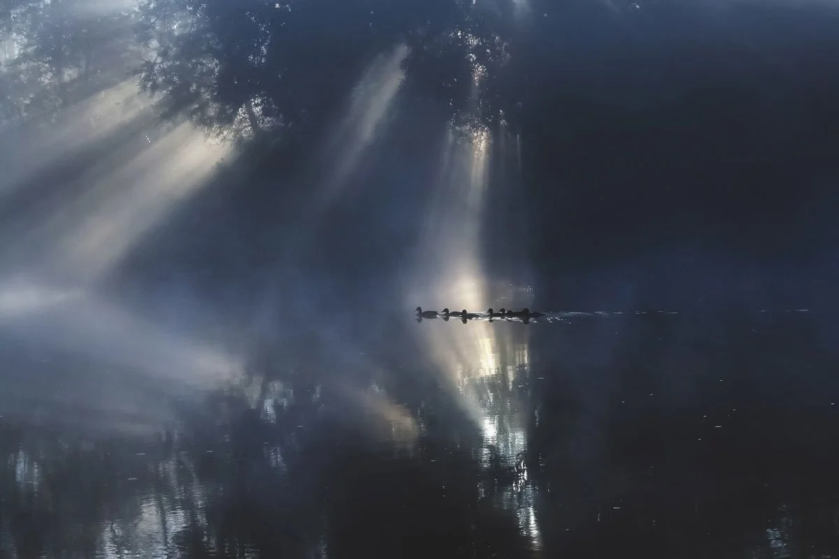 parim-pulmafotograaf-079-tallinn-harjumaa.jpg