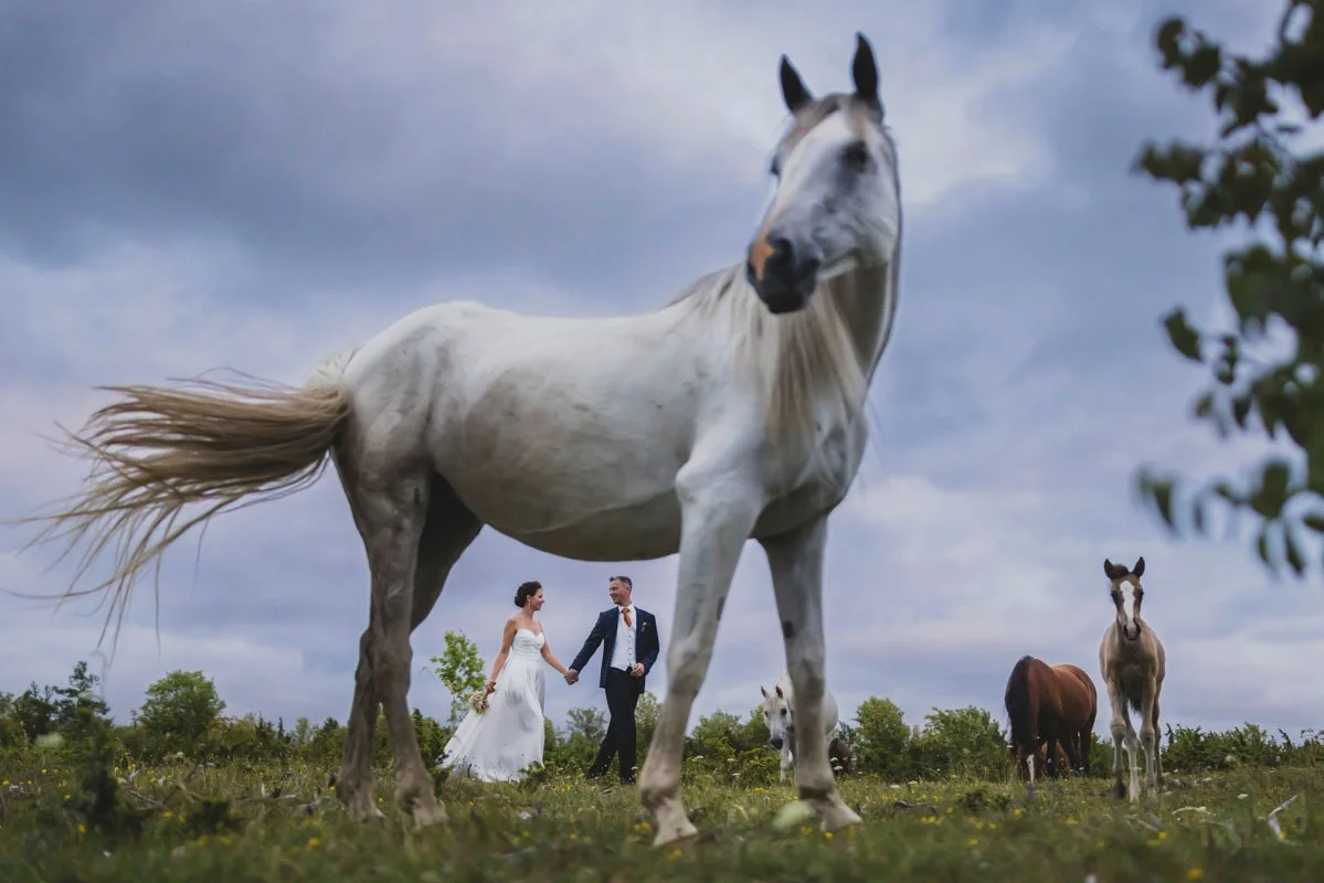 best-wedding-photographer-in-estonia-196-top-photographers.jpg