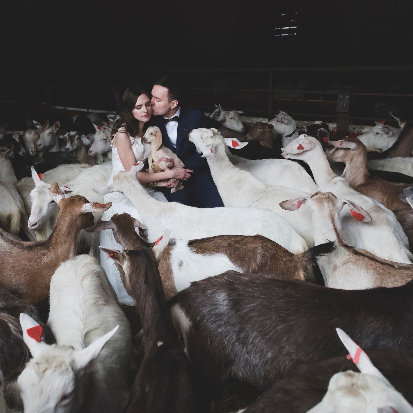 🤔 Minult on k&uuml;situd, et kas oled pettunud, et pead s&otilde;prade pulmas t&ouml;&ouml;l olema?

Ma olen pildistanud peaaegu k&otilde;igi oma l&auml;hemate s&otilde;prade pulmi. 

Vahepeal arvasin, et natuke olen...

Aga kui sellele pikemalt m&o