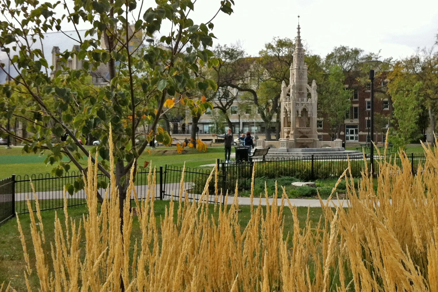 cohlmeyer-architecture-wadell-fountain.jpg