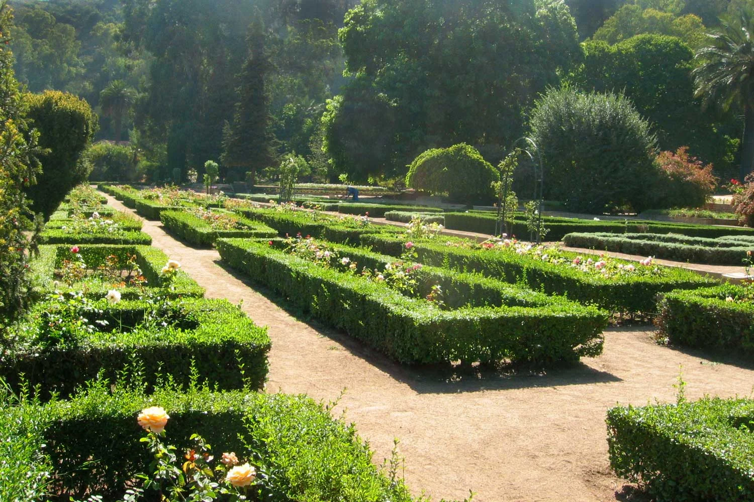 jardin-botanico-master-planning-cohlmeyer-architecture.jpg