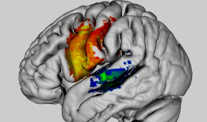 digits%2Bfwd%2Bcont%2Bbck%2Band%2Bspat%2Bfwd%2B%2528blue-green%2529%2Band%2Bdigits%2Bbck%2Bcont%2Bfwd%2Band%2Bspat%2Bbck%2B%2528red-yel%2529%2B10mm%2Bdepth.jpg