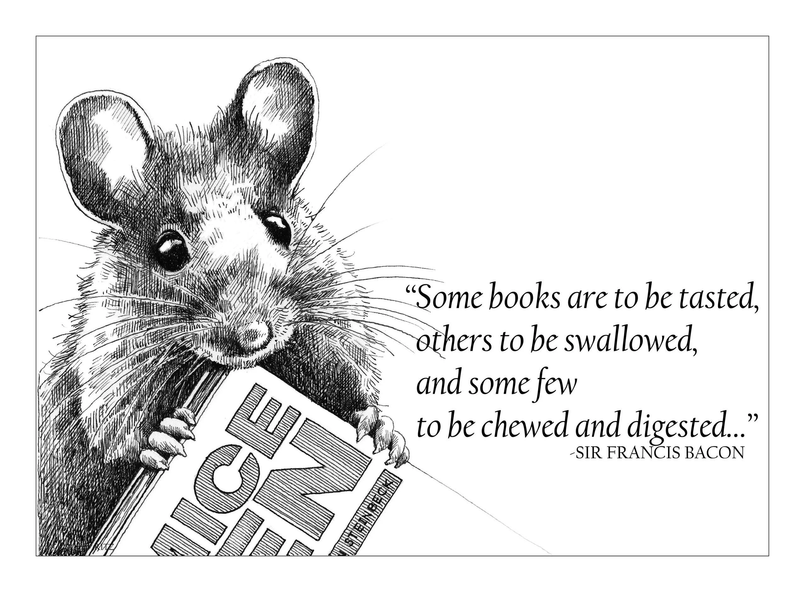 Some Books, pen & ink