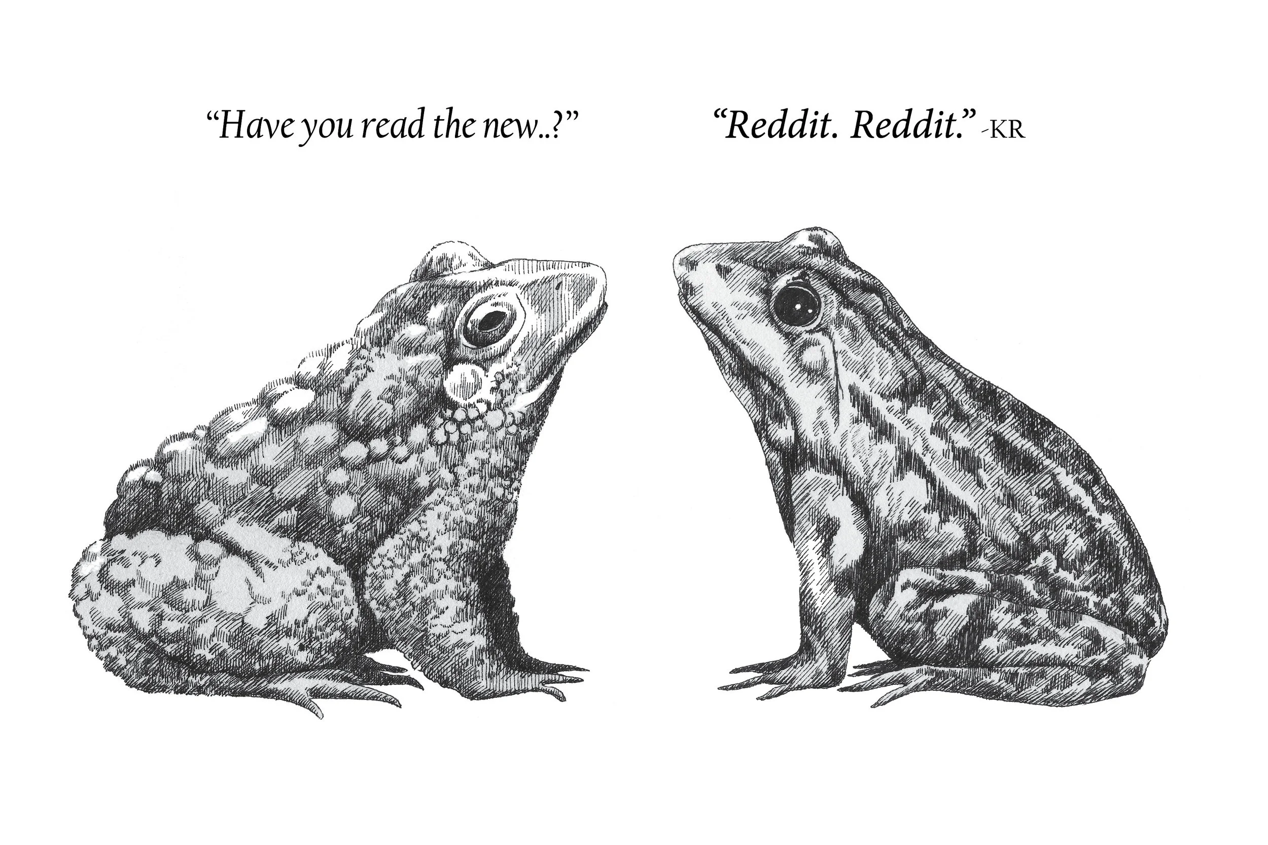Frog and Toad, pen & ink