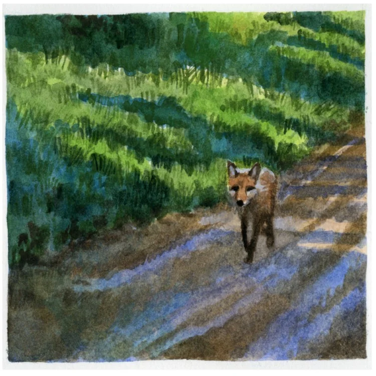 Watercolor inset, Sadie Braves the Wilderness , 2016