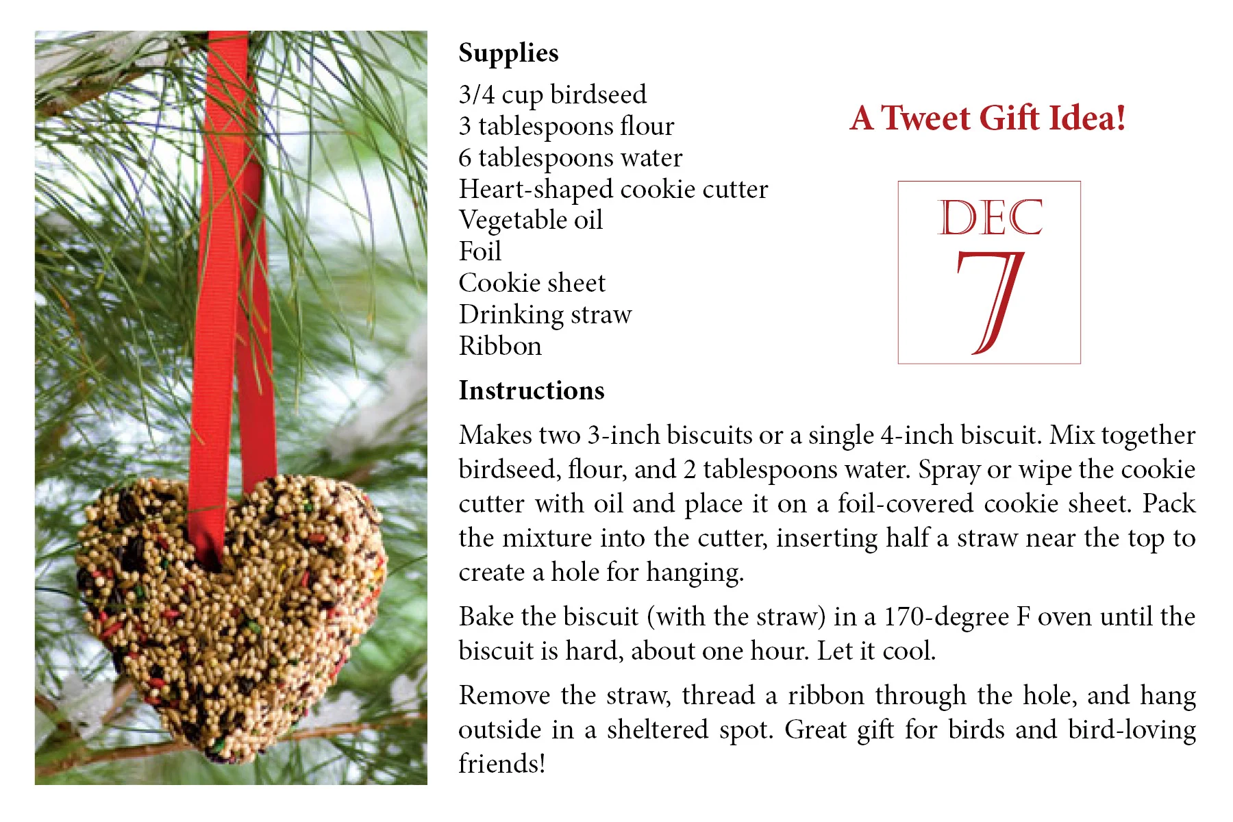 Advent pg7.jpg