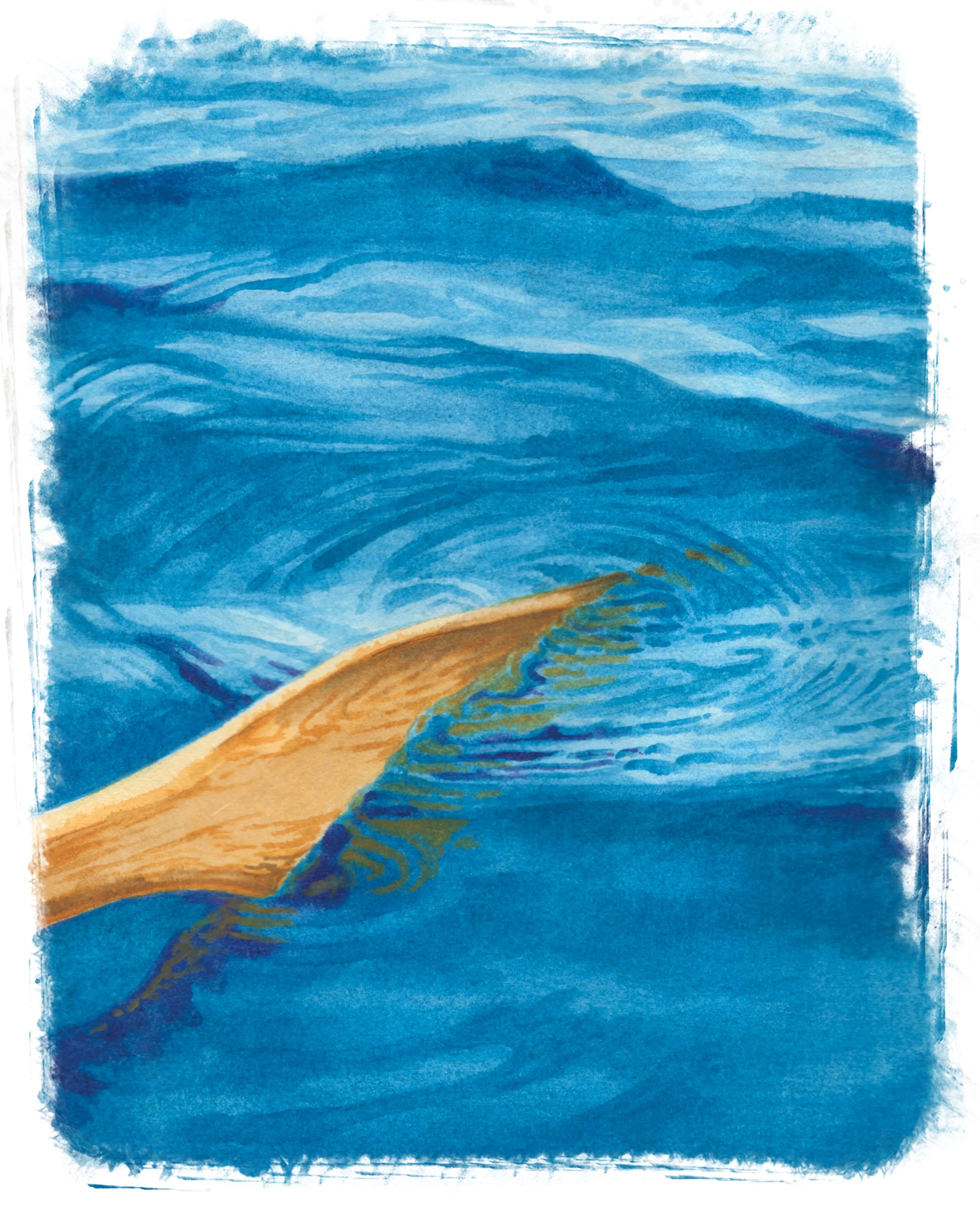 paddle005.jpg