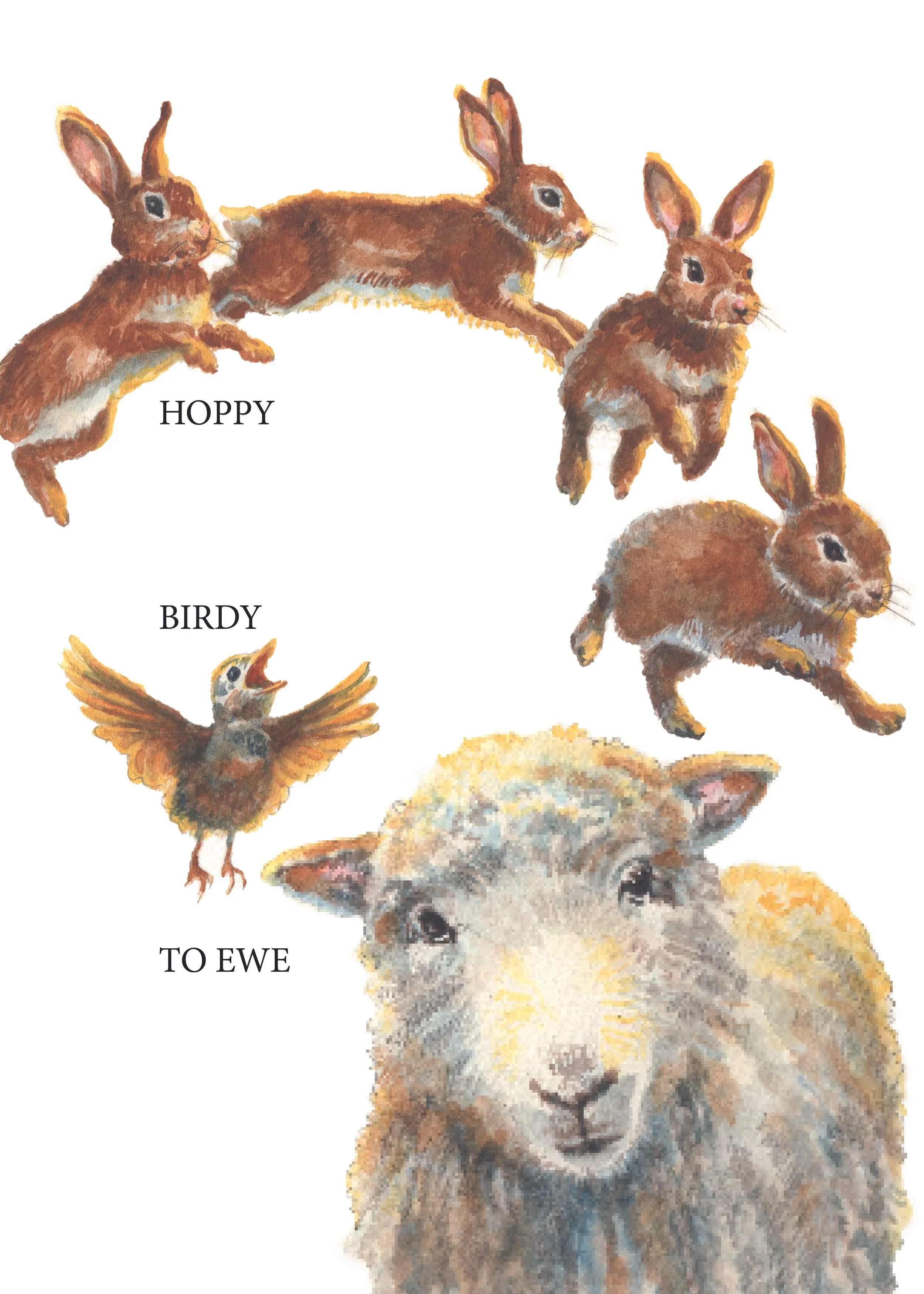Hoppy BD A7 front.jpg