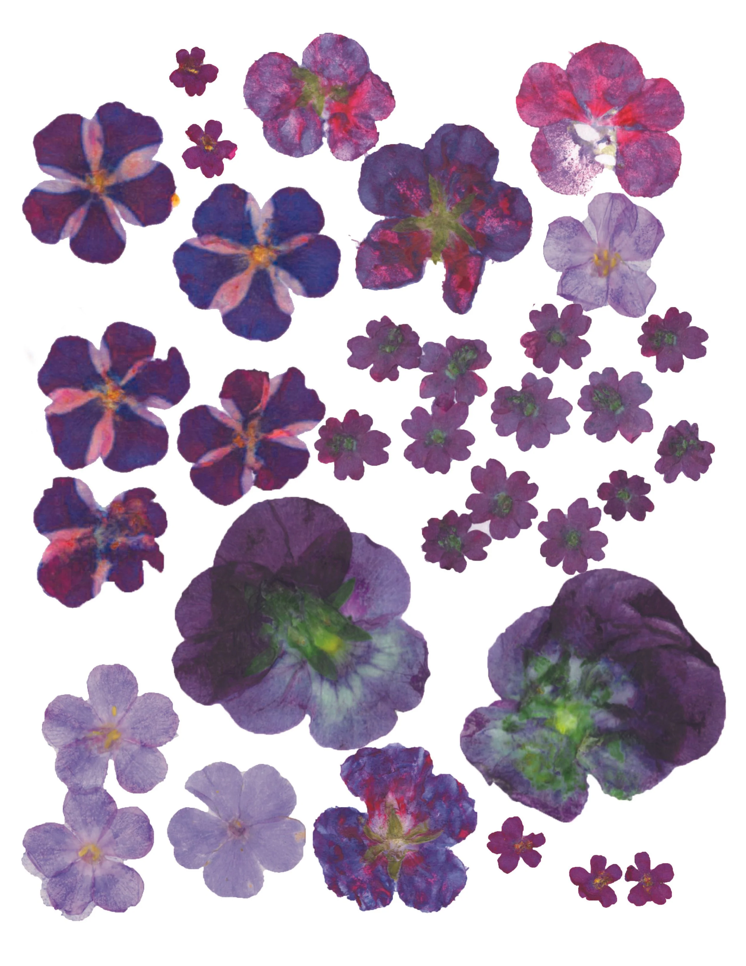 GHF purple front.jpg