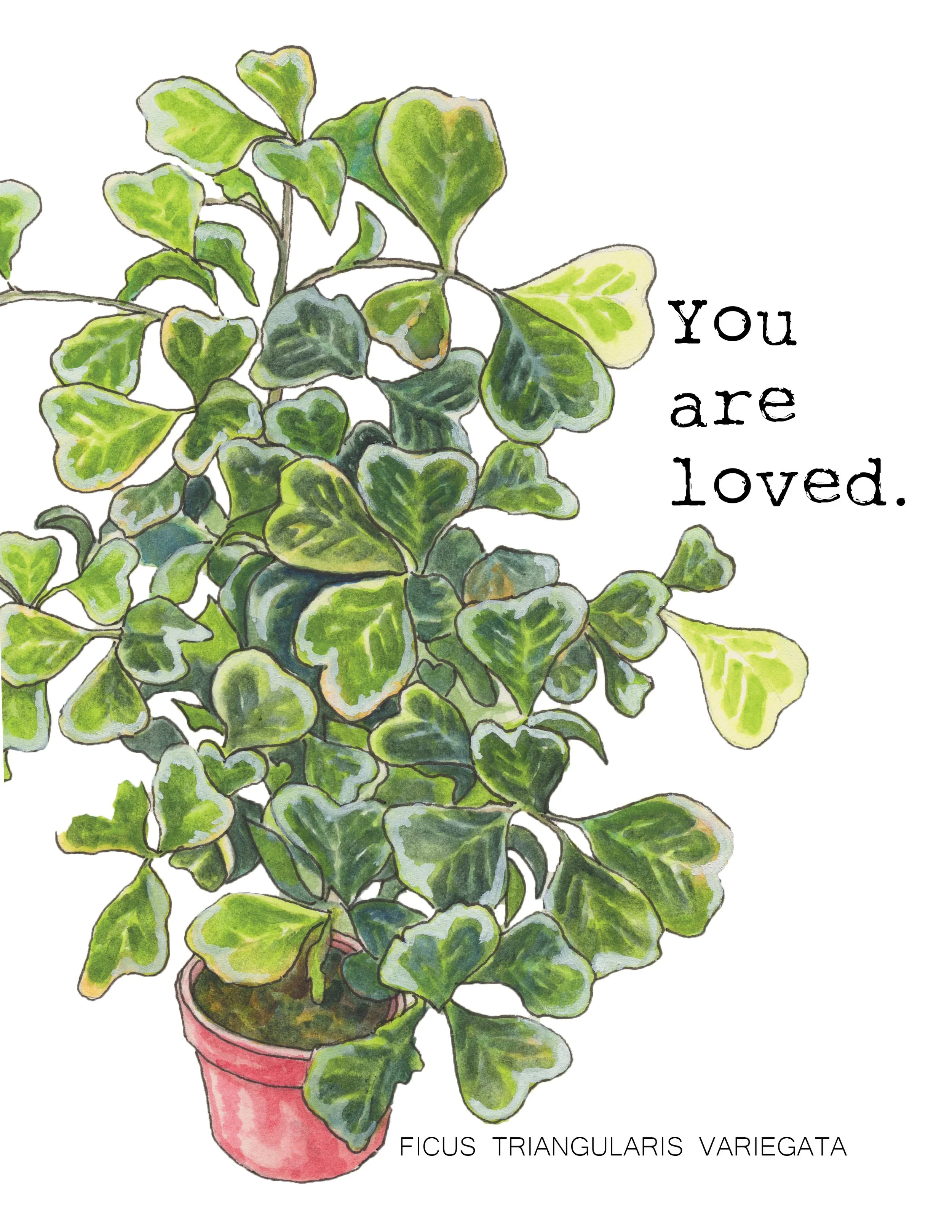 Heart plant 01 A2 Front.jpg