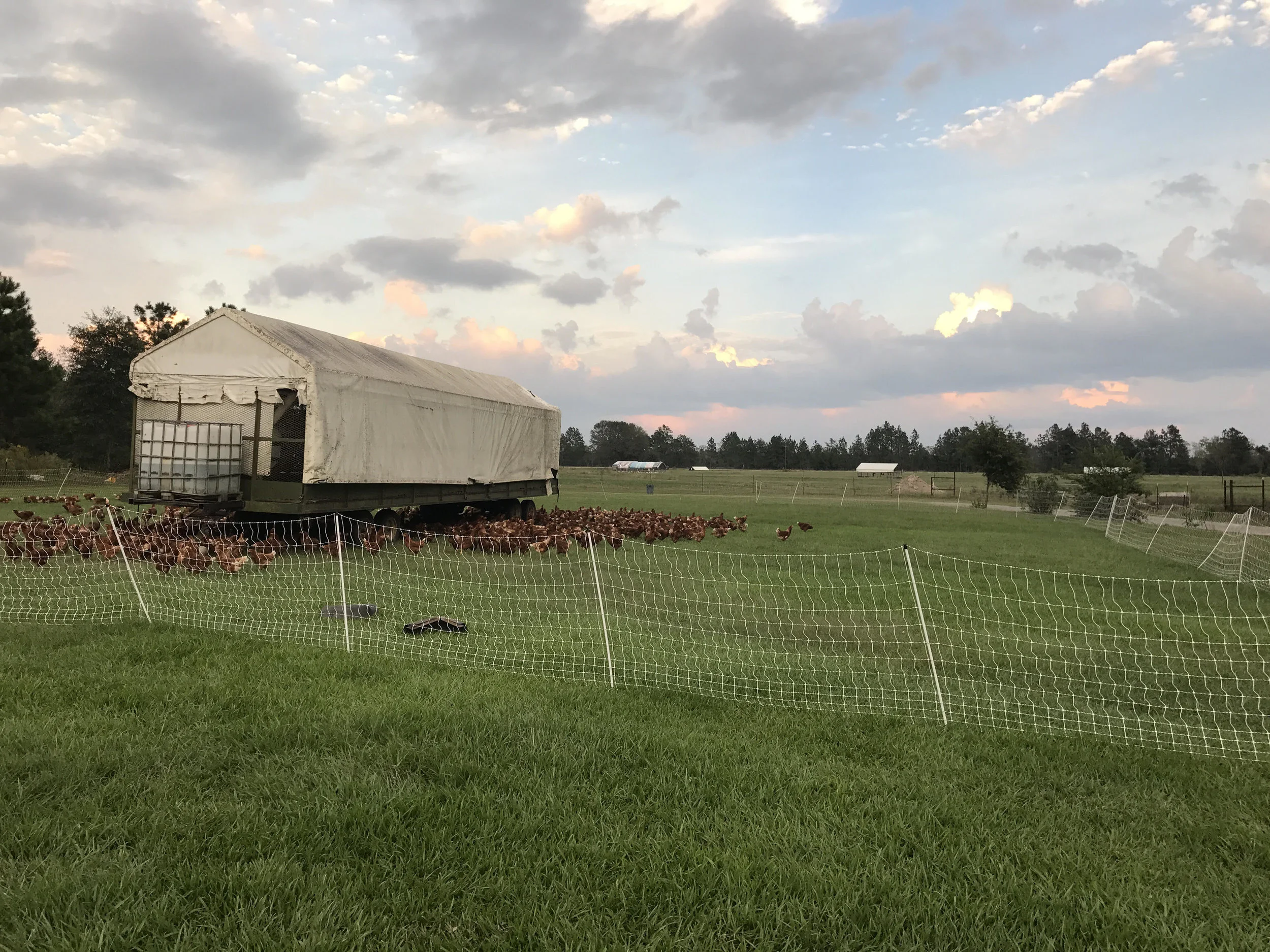 farm1.jpg