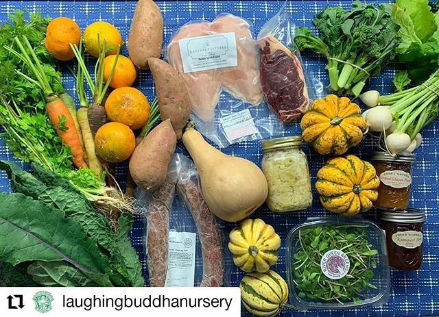 #Repost @laughingbuddhanursery
&bull; &bull; &bull; &bull; &bull; &bull;
💚🧡💚Produce comes in mainly two colors this week: orange (satsumas, squashes, carrots and sweet tators) or green (broccoli, kale, collards, cilantro, arugula, Swiss chard and 