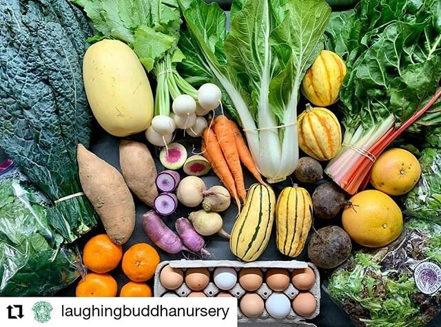 #Repost @laughingbuddhanursery
&bull; &bull; &bull; &bull; &bull; &bull;
What a gorgeous time of year for produce, huh?
.
All this plus lots of beef, pork and chicken, @mauthesprogressmilkbarn dairy products and @joseysgoods jams and jellies can be y
