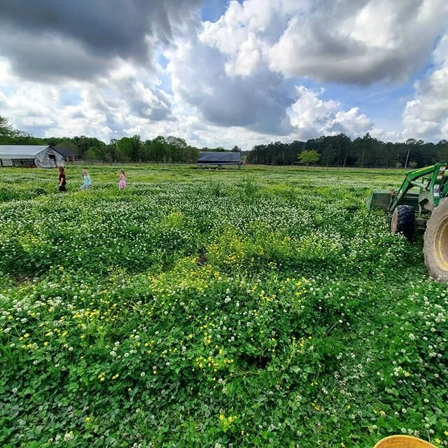 Spring is here!

#gpfarmsla #farm #johndeere #apppa #pasturedpoultry #pastured