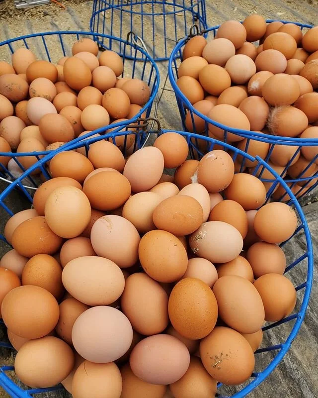 We're starting to ship out orders today!