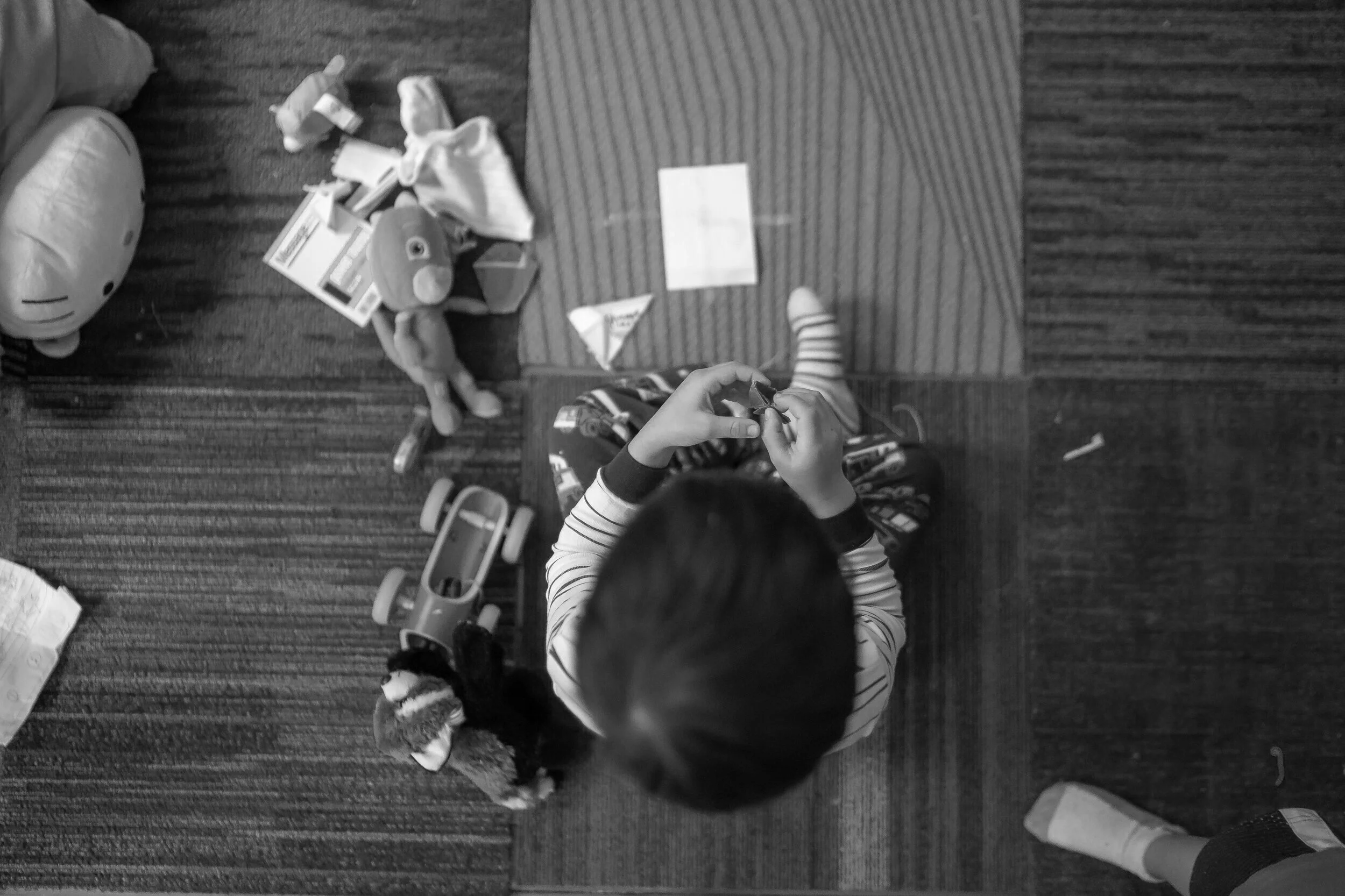 child-enjoyment-from-above-2790771.jpg