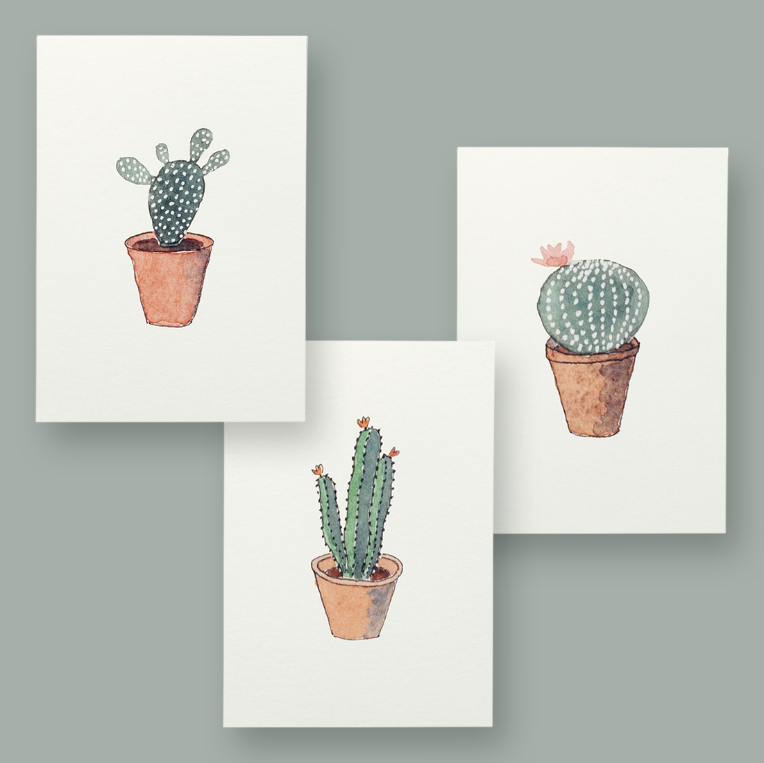 01_Cactus_Bundle.png
