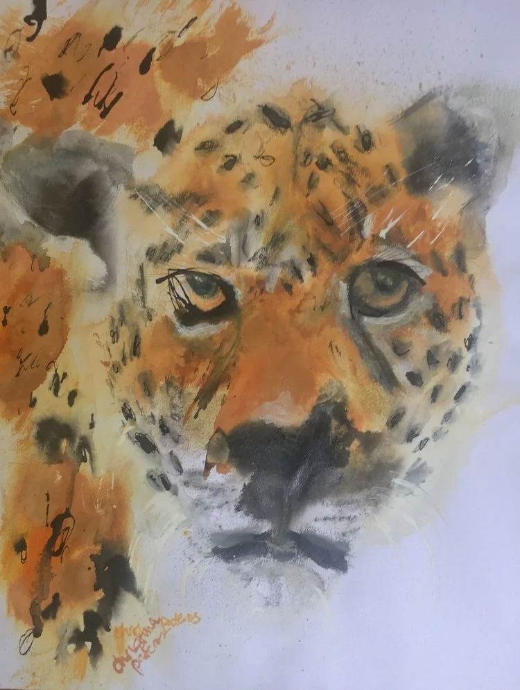 Jaguar Medicine