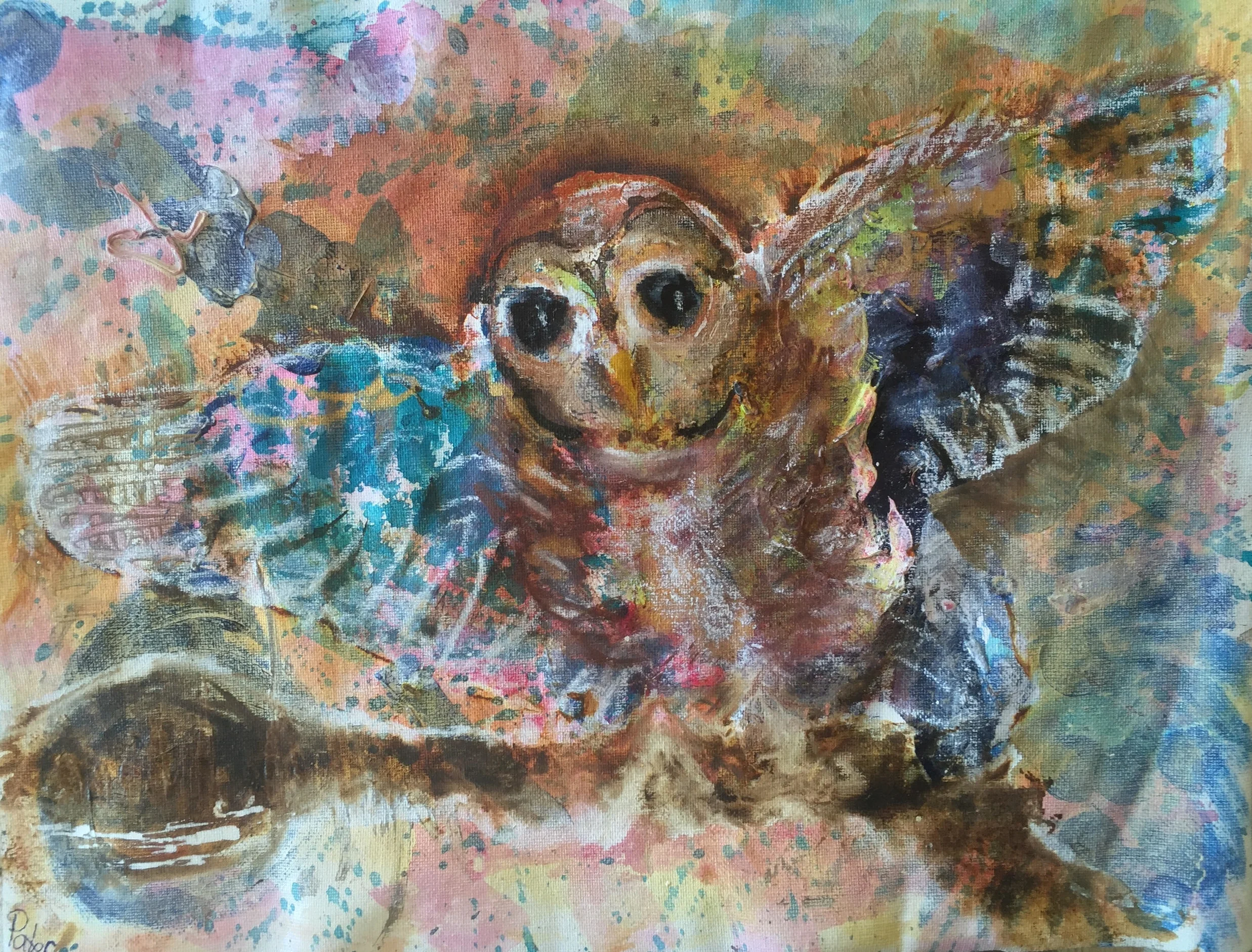 There is Magic in Owl Medicine