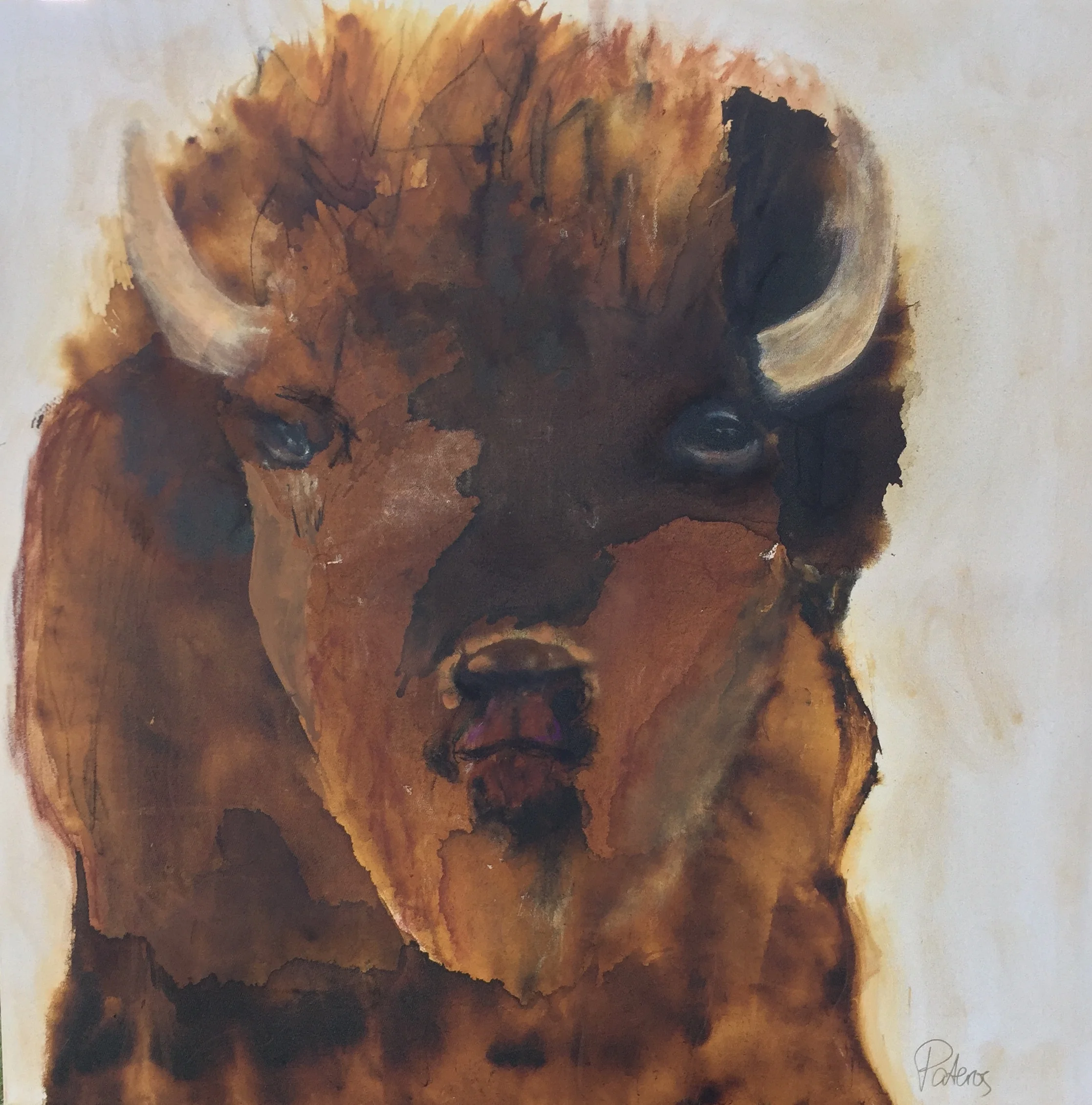 Tatanka