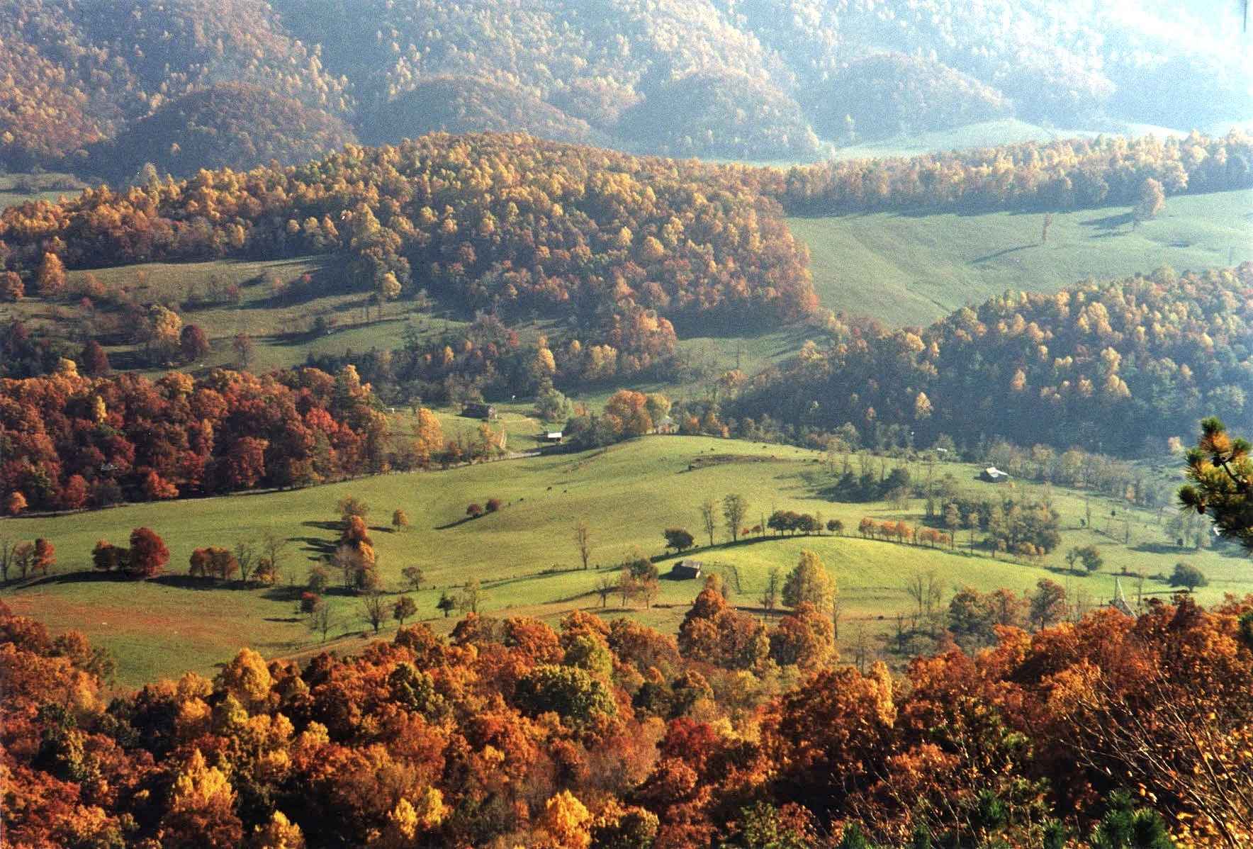 Virginia Countryside_Scott Teresi.jpg