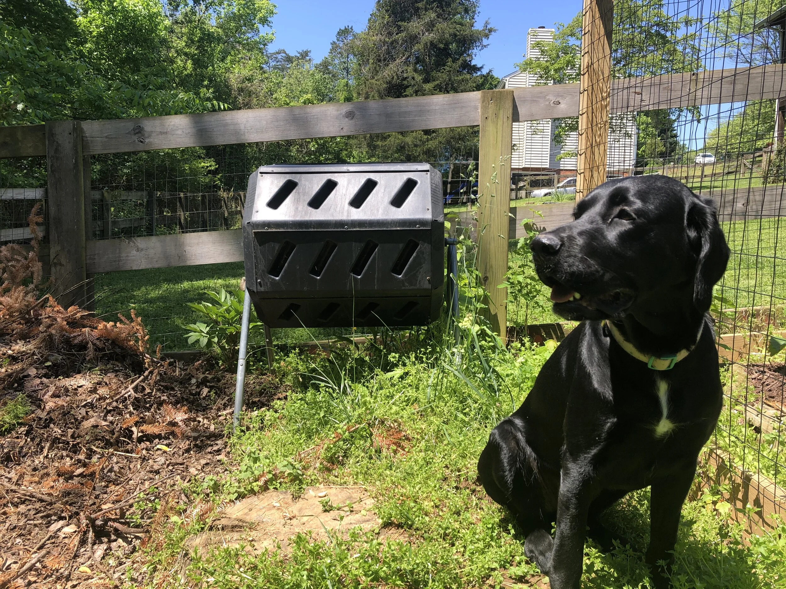Tips for Avoiding Critters in Your Backyard Compost