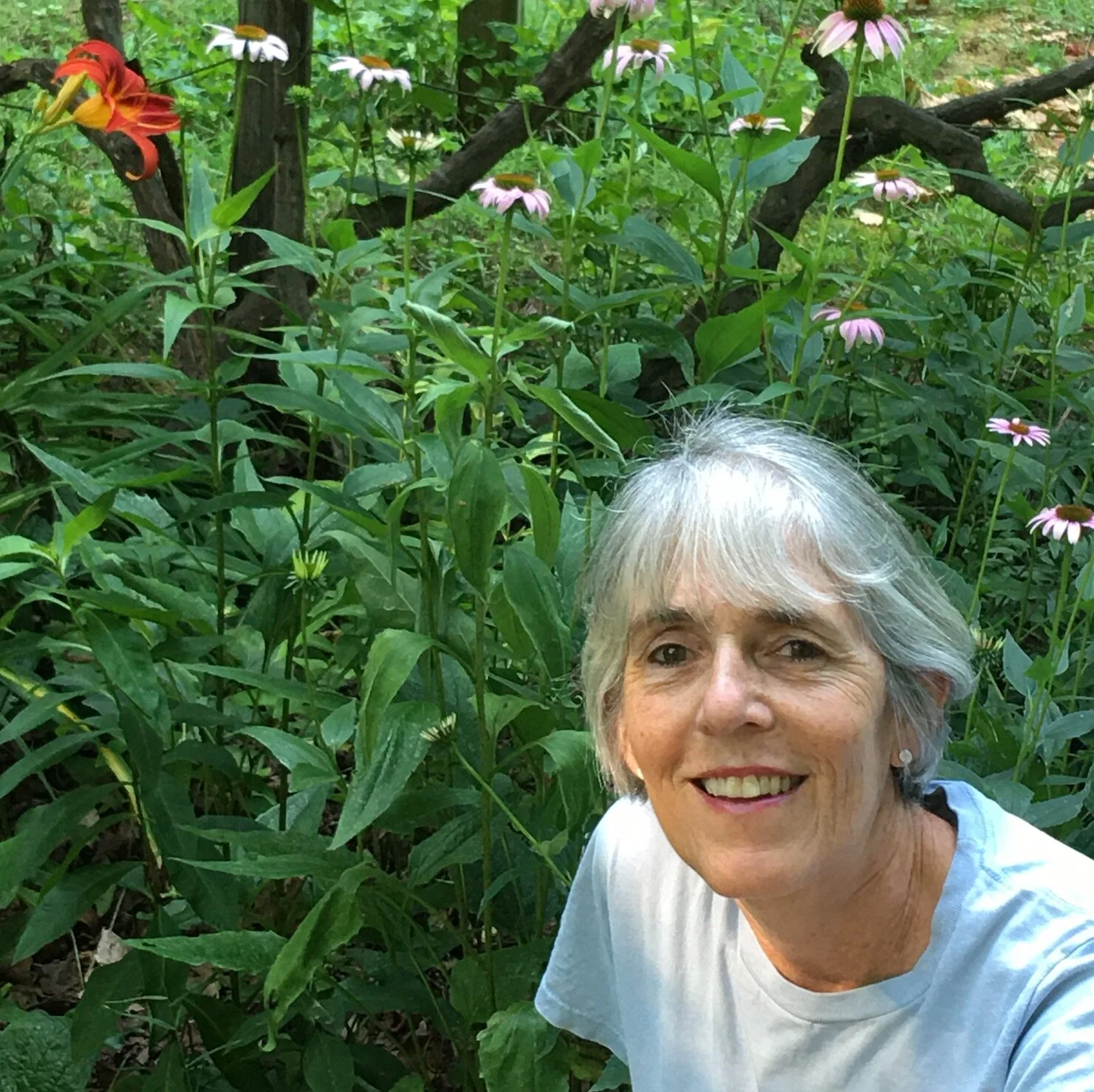 July's Climate Leader: Christine Putnam