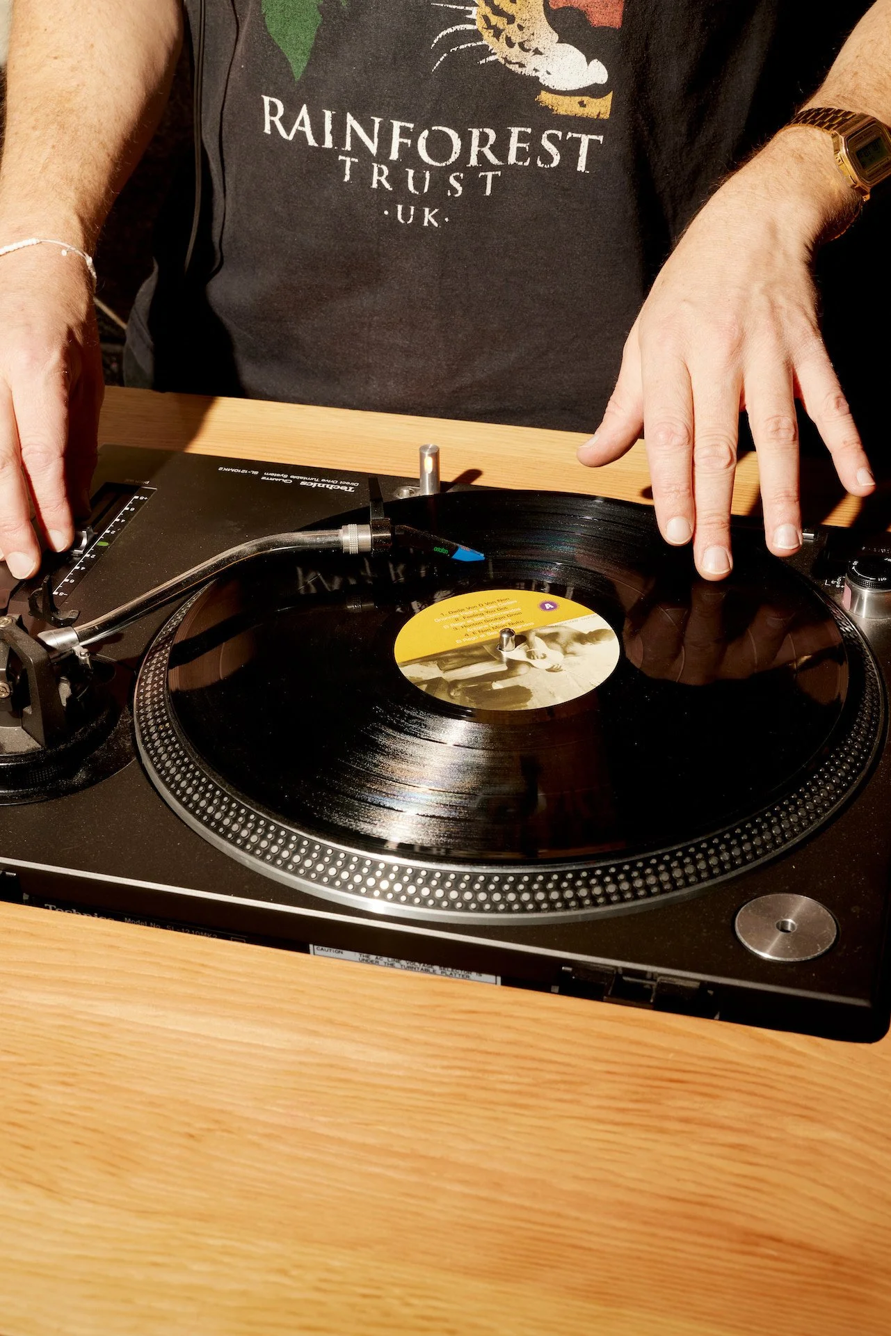 Monthly Vinyl Fair - Restroom Records &amp; The Village Idiot