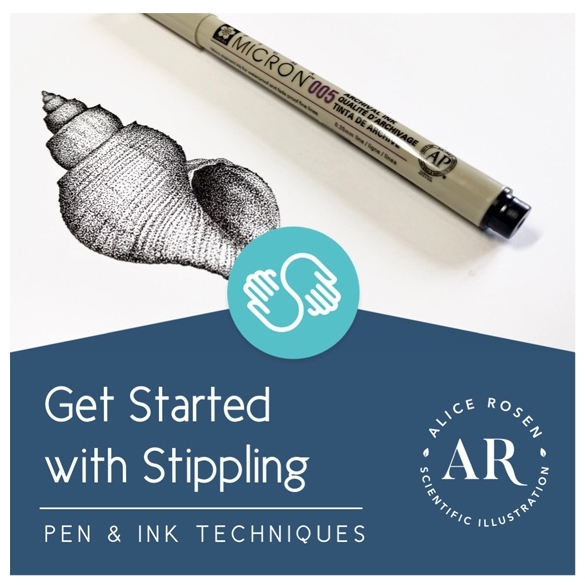 Get Started with Stippling, Alice Rosen