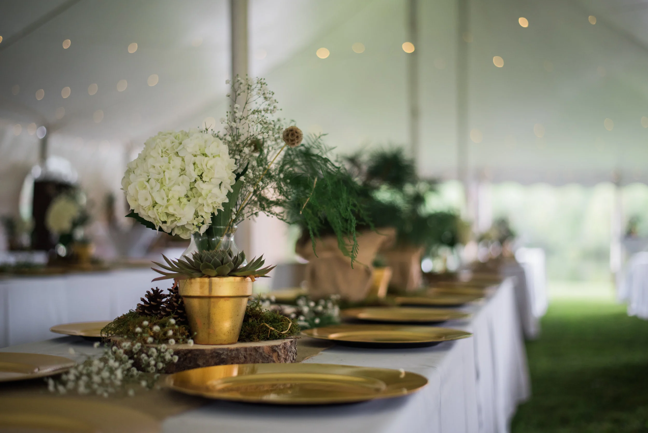 Camp_adventure_Minnesota_summer_wedding_Morse-21.jpg