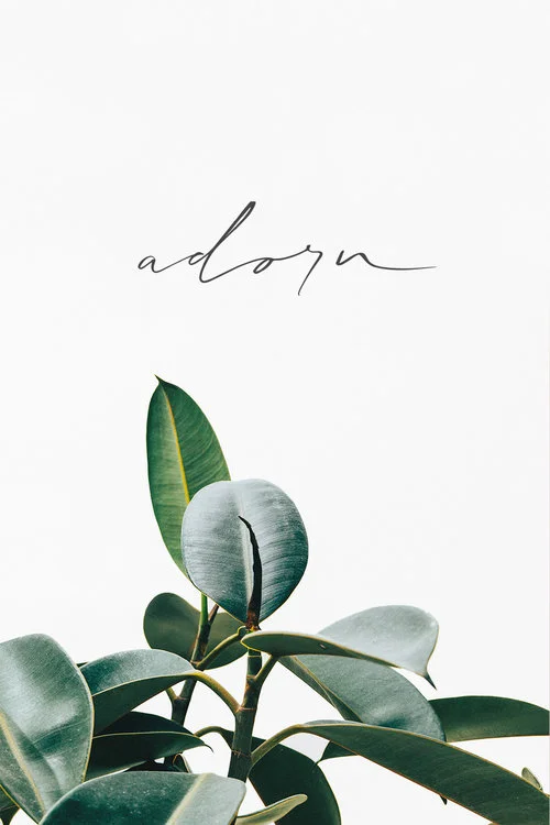 DESIGN BY TRUDY GEORGINA. TRUDY SPECIALIZES IN BRAND IDENTITY & DIGITAL DESIGN.