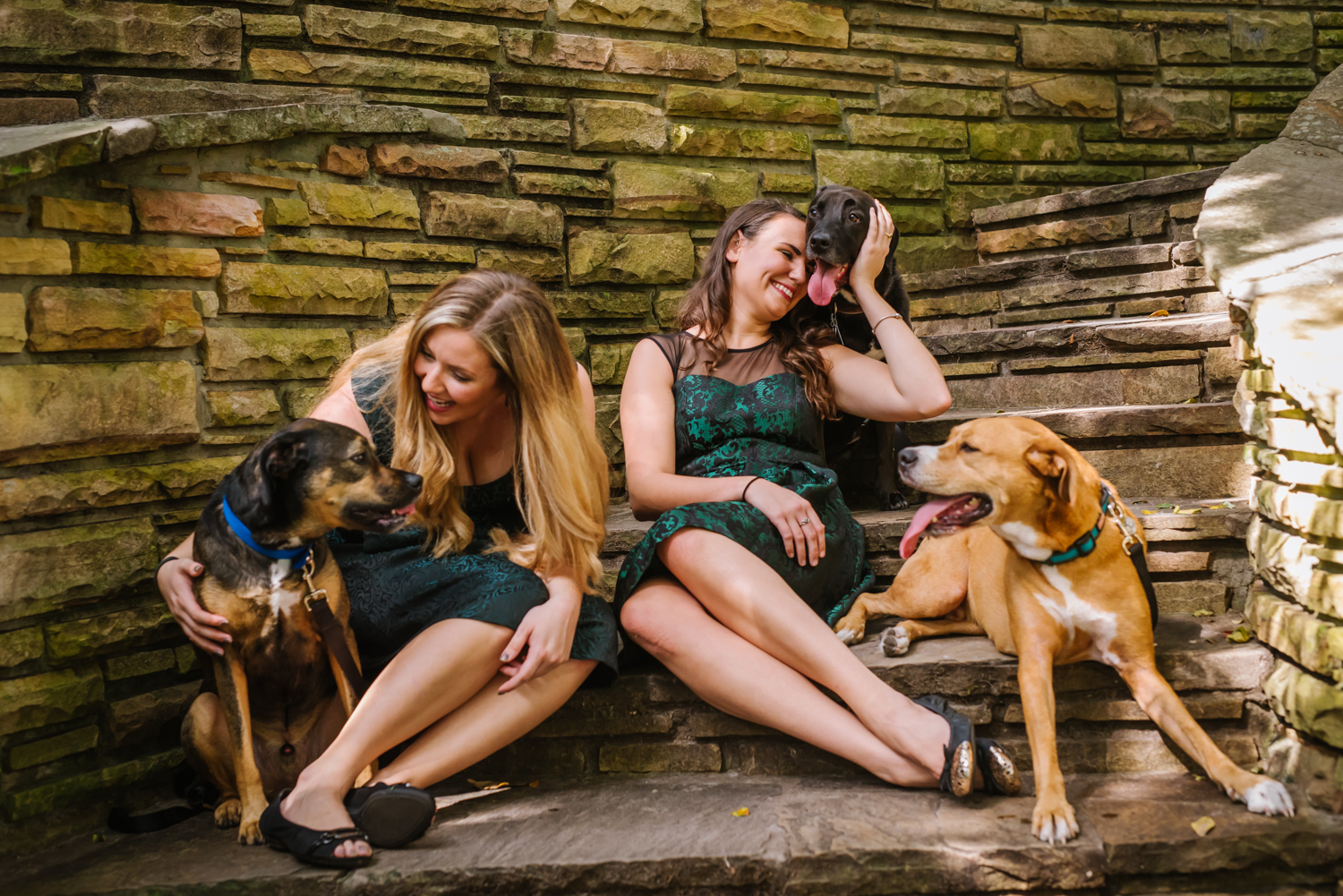 FairyTail+Pet+Care+++Ashlee+Hamon+Photography.jpg