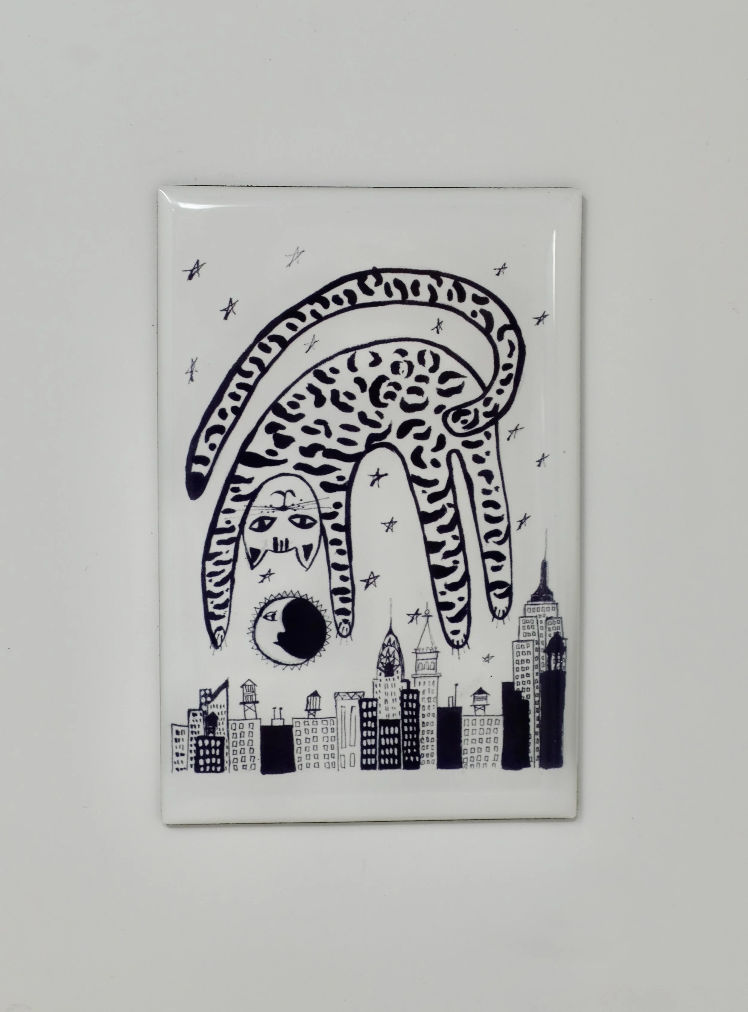 over the moon cat.JPG