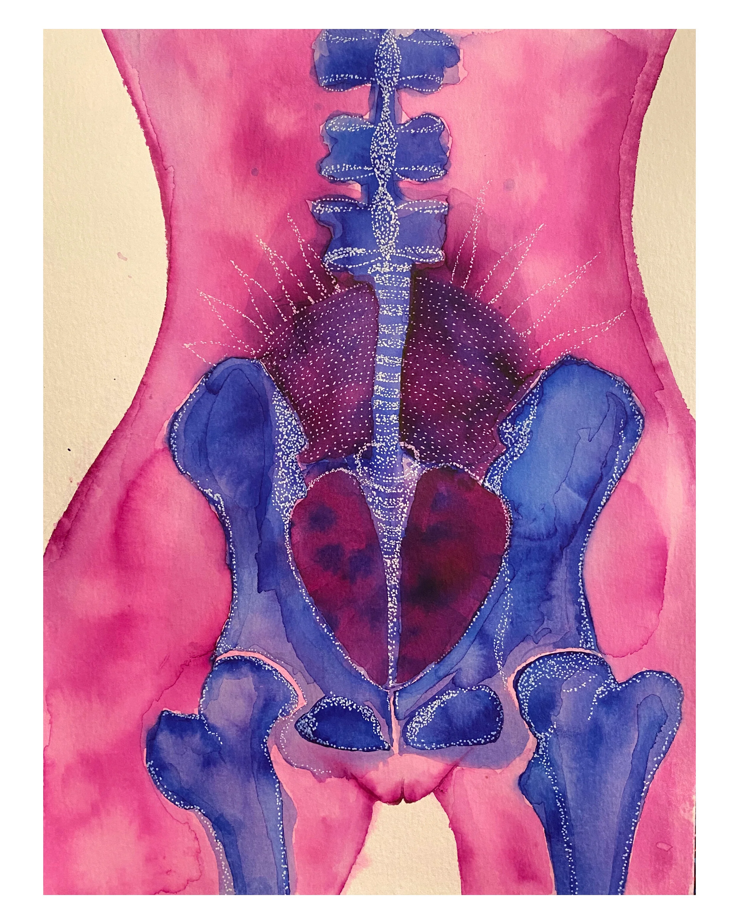 heartpelvis.JPG