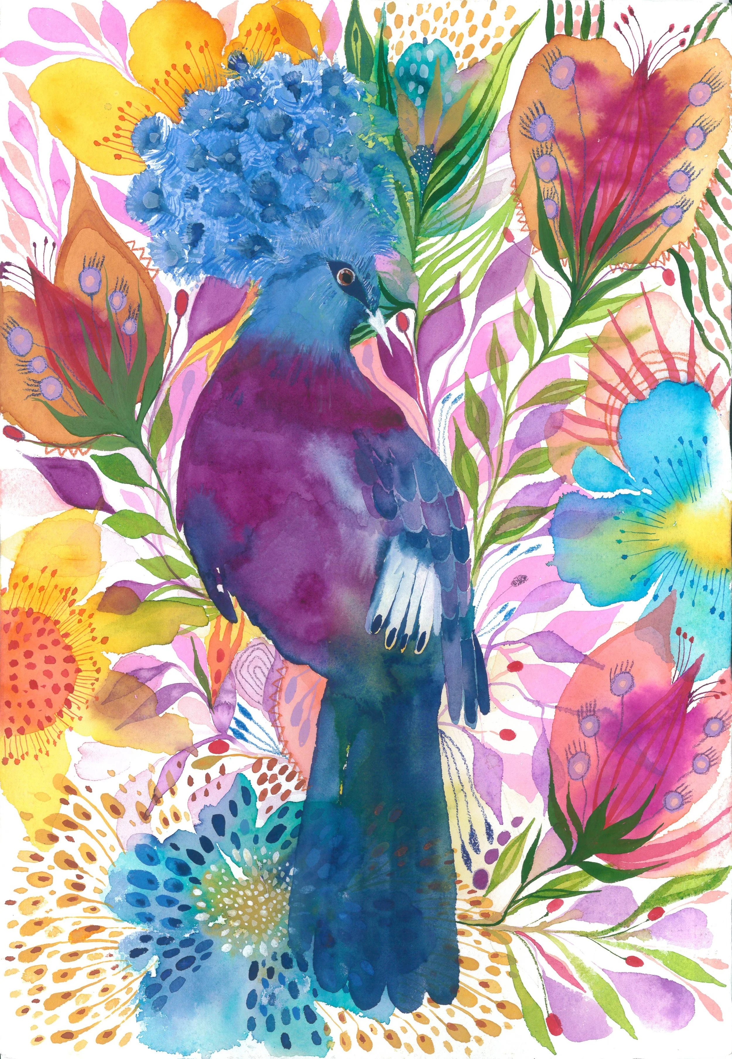 Bird of paradise .jpg