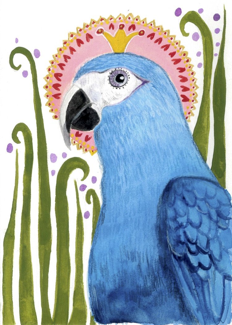 Spix's macaw .jpg