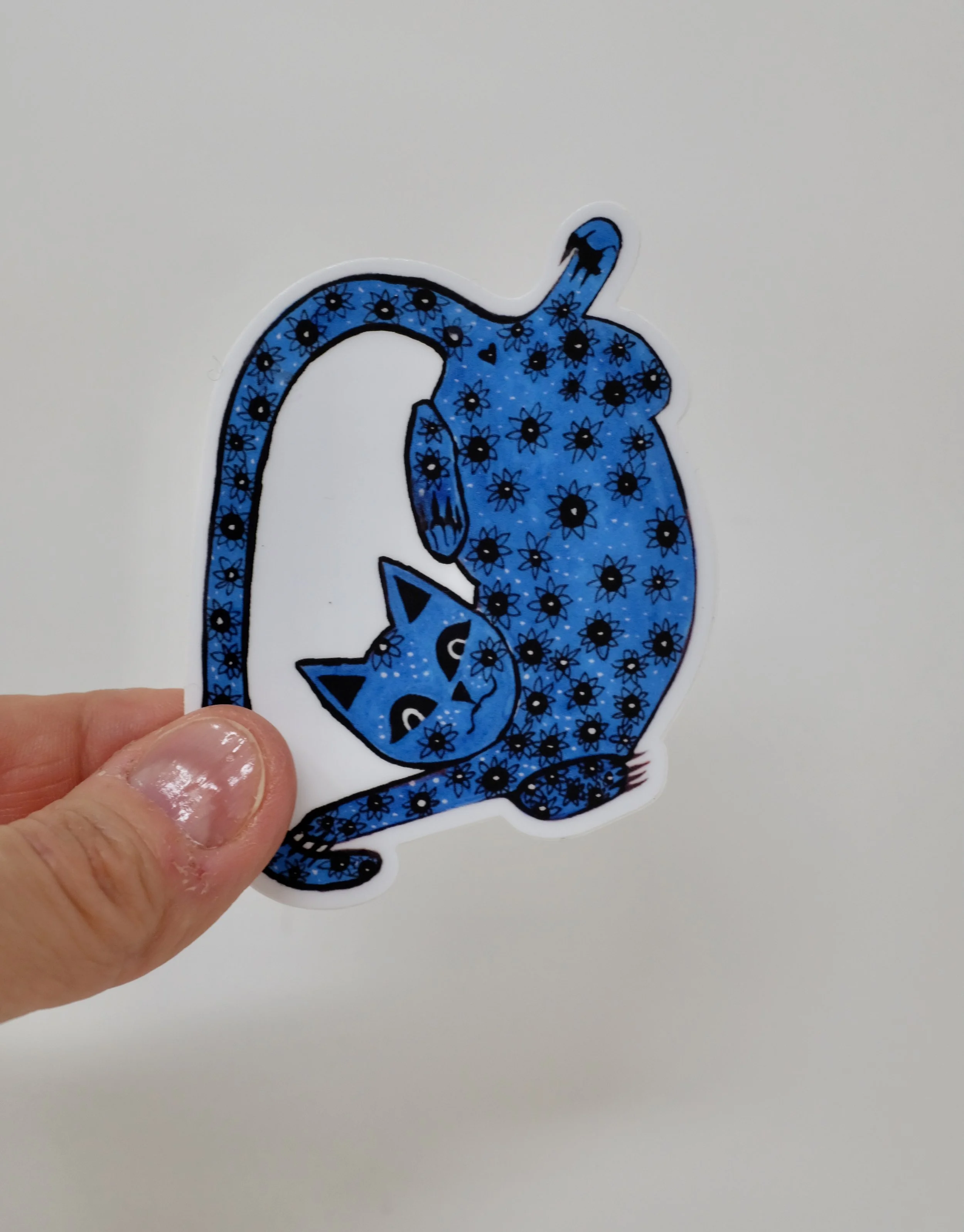 bluecat2.jpeg