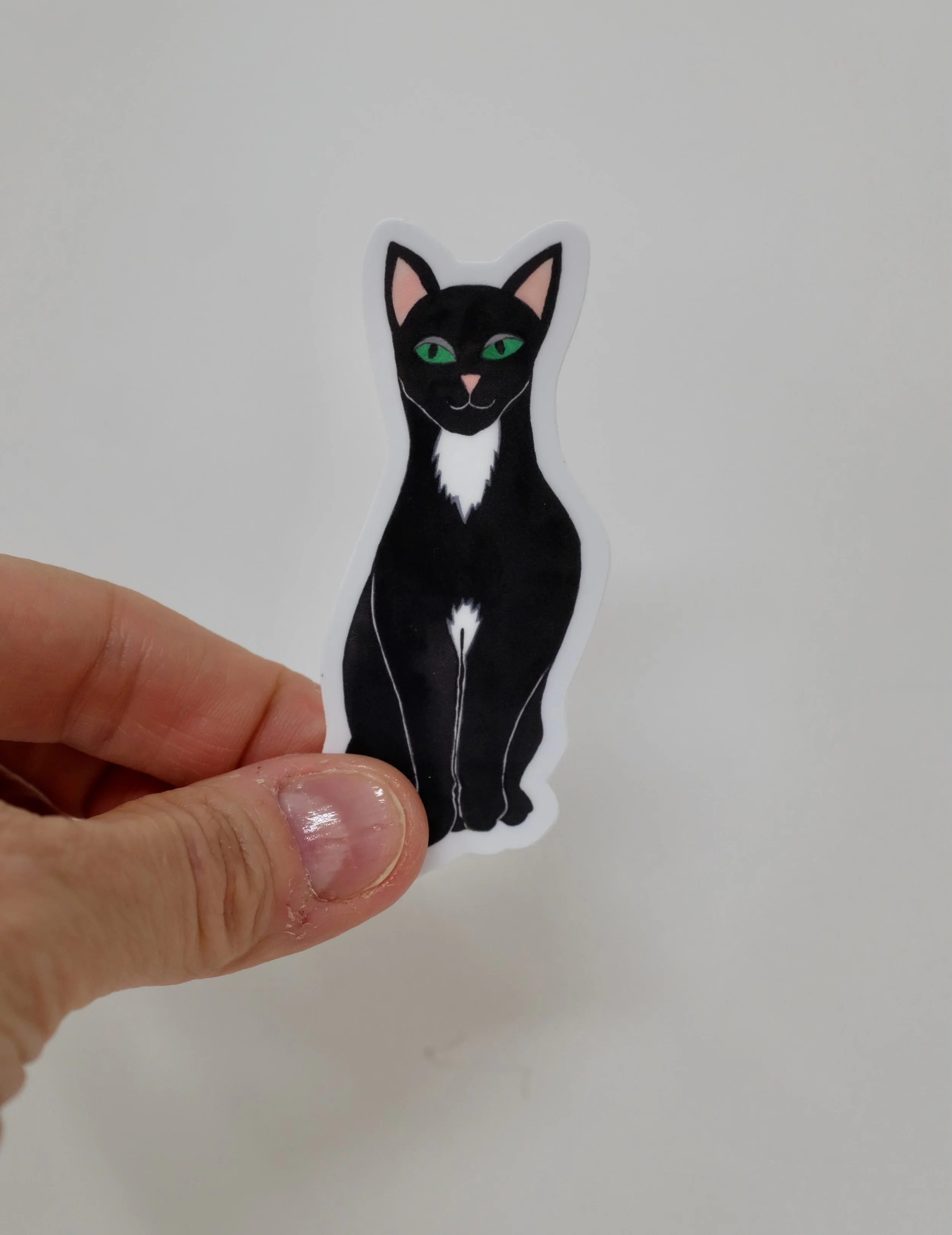 blackcat2.jpeg