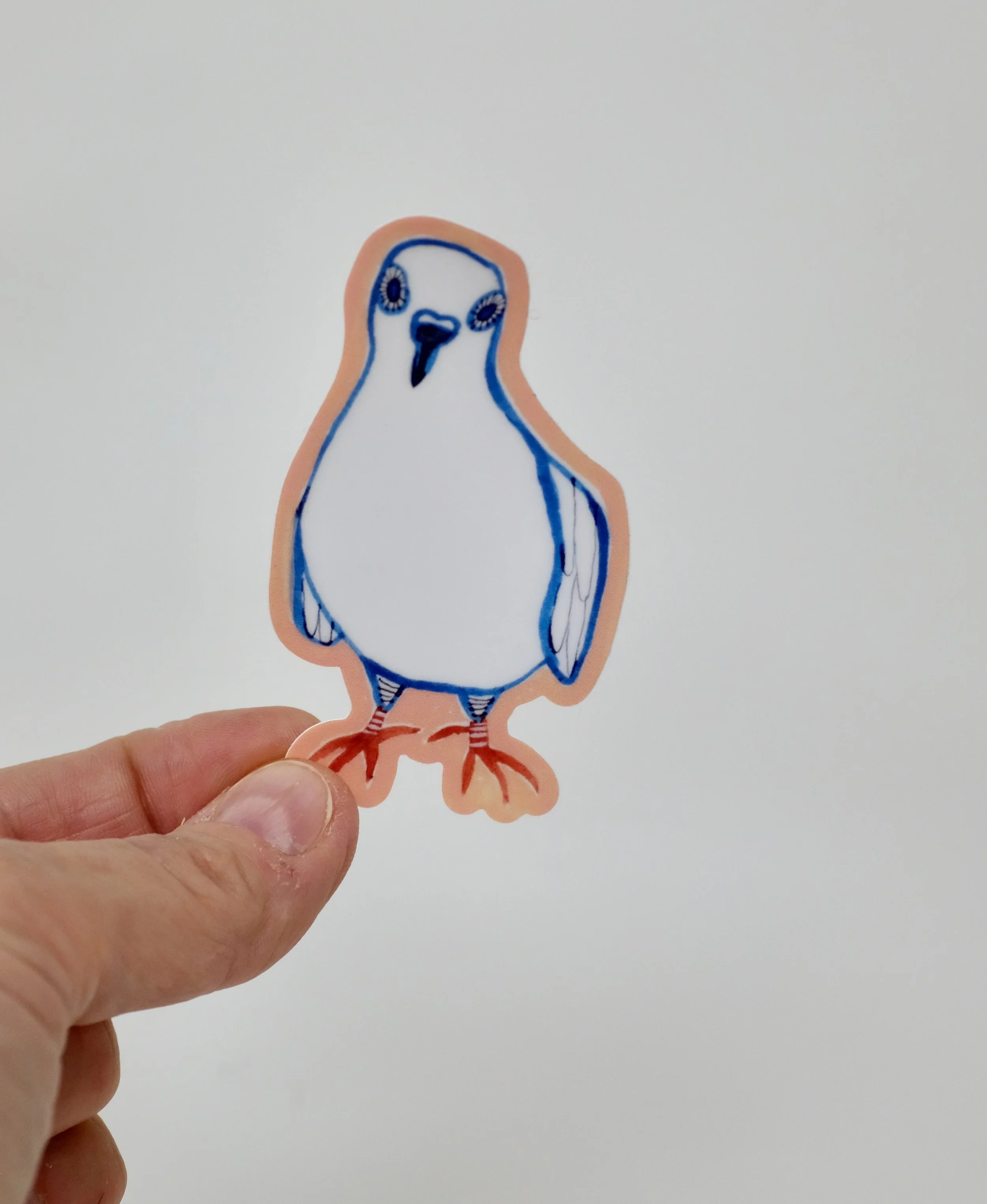 classic pigeon2.jpeg