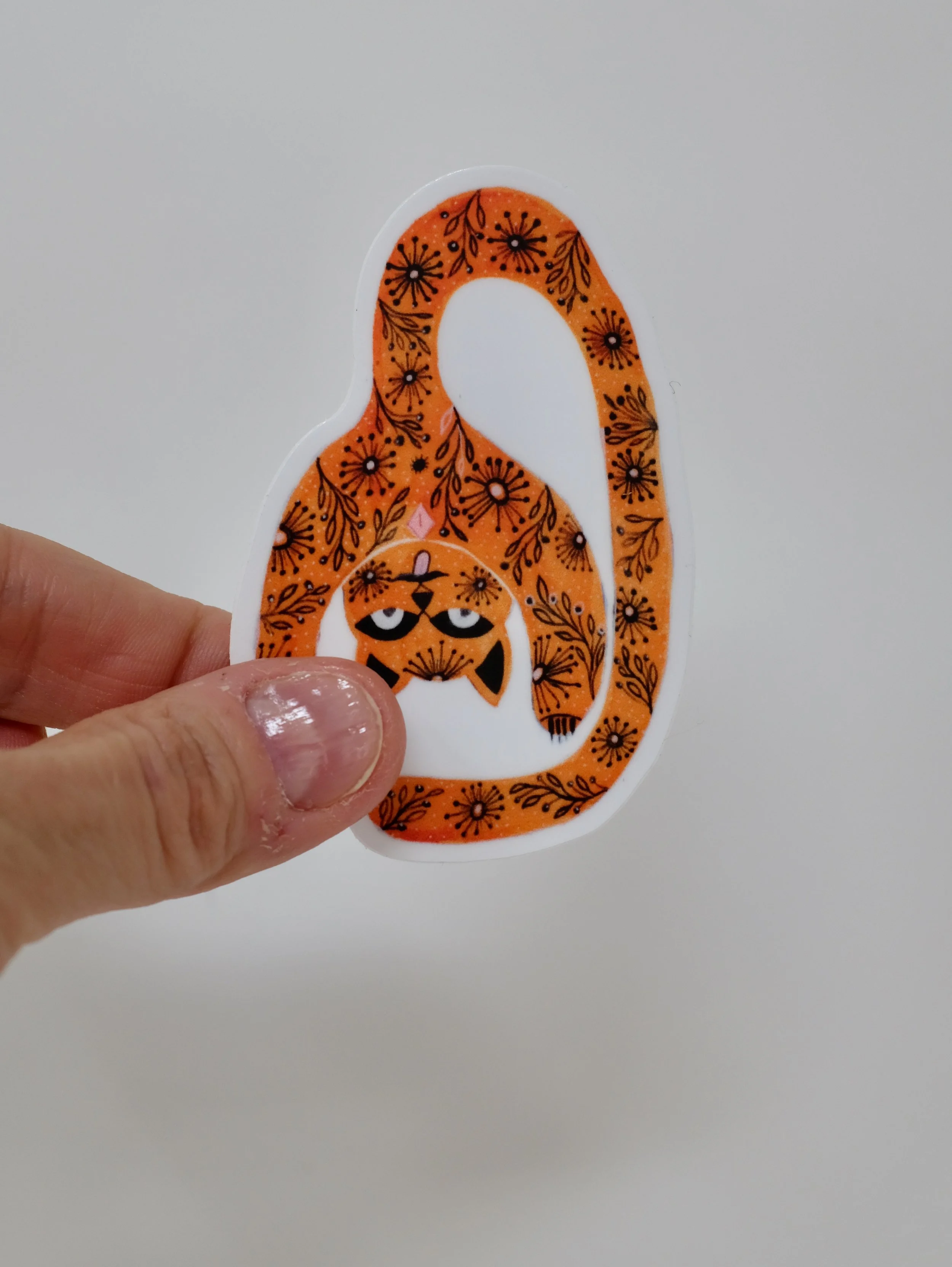 orangecat2.jpeg