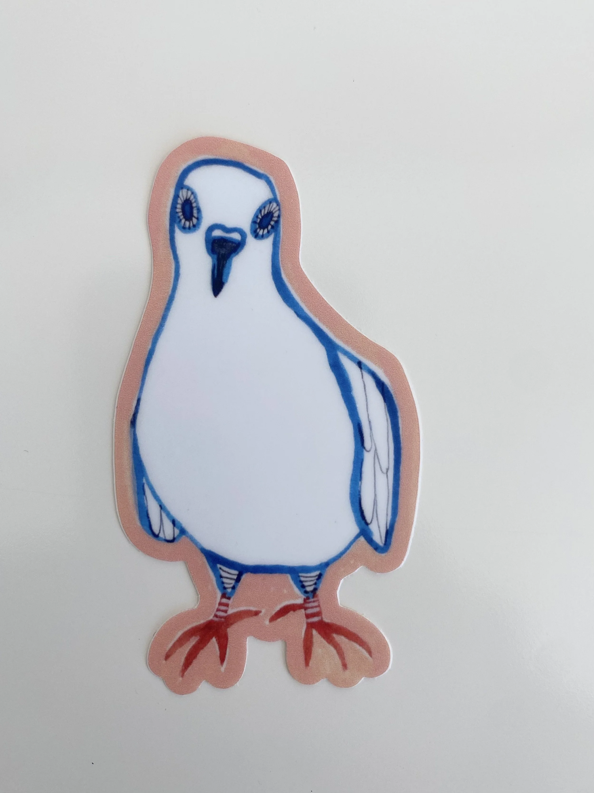 dirrect pigeon .jpeg