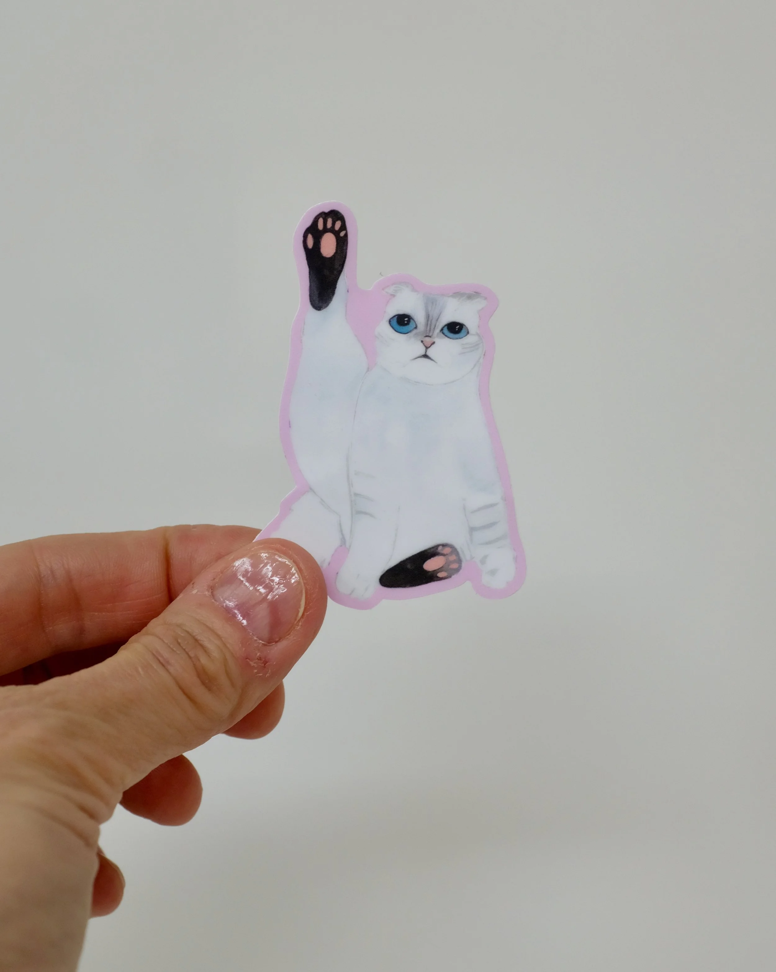 pinkcat2.jpeg