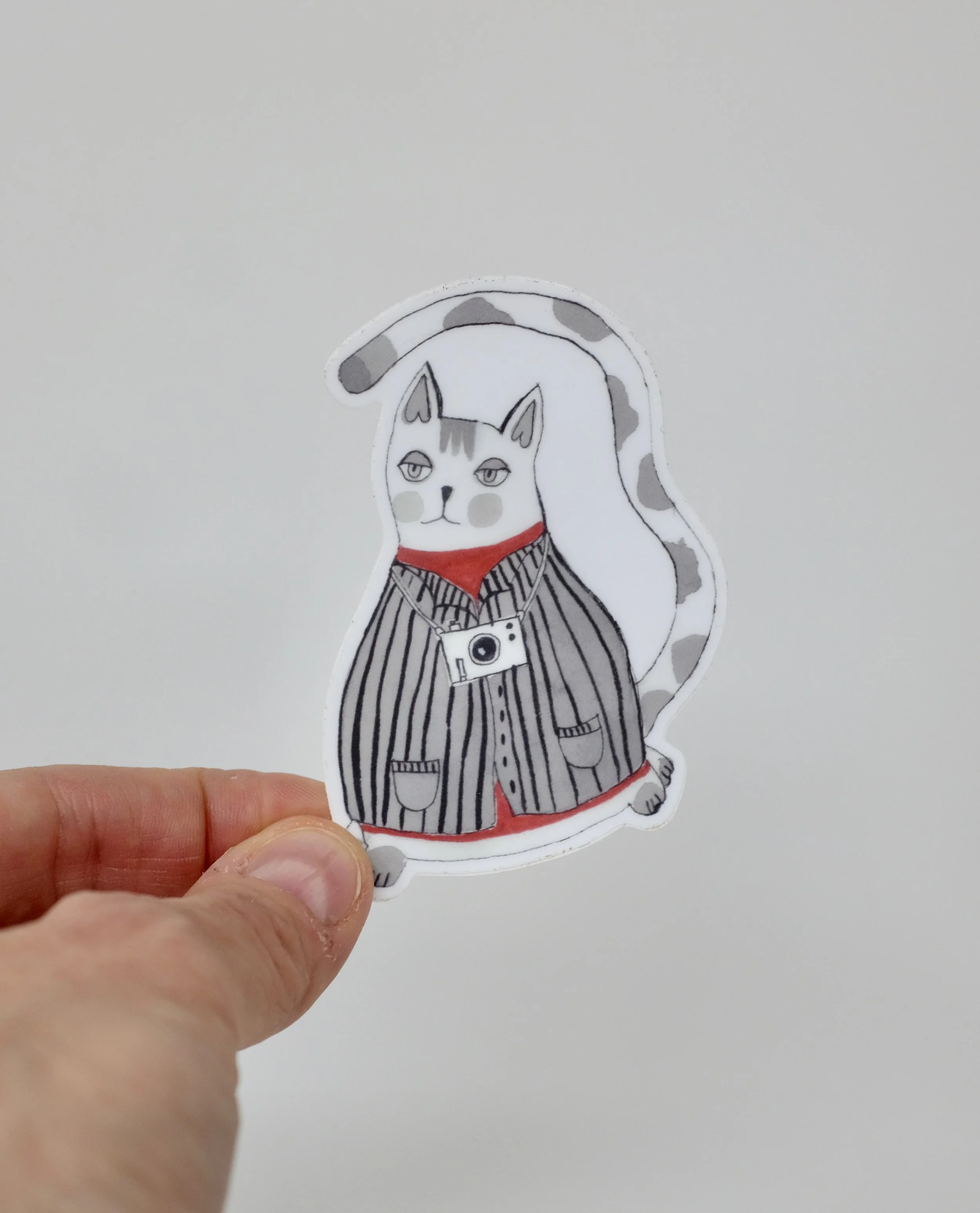 photocat2.jpeg