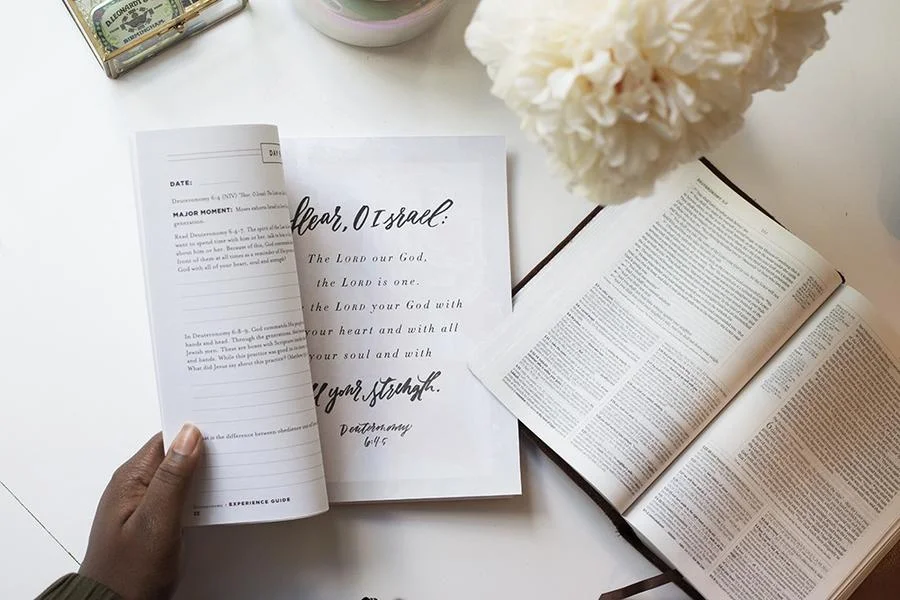 Bible study book design for Proverbs 31 Ministries