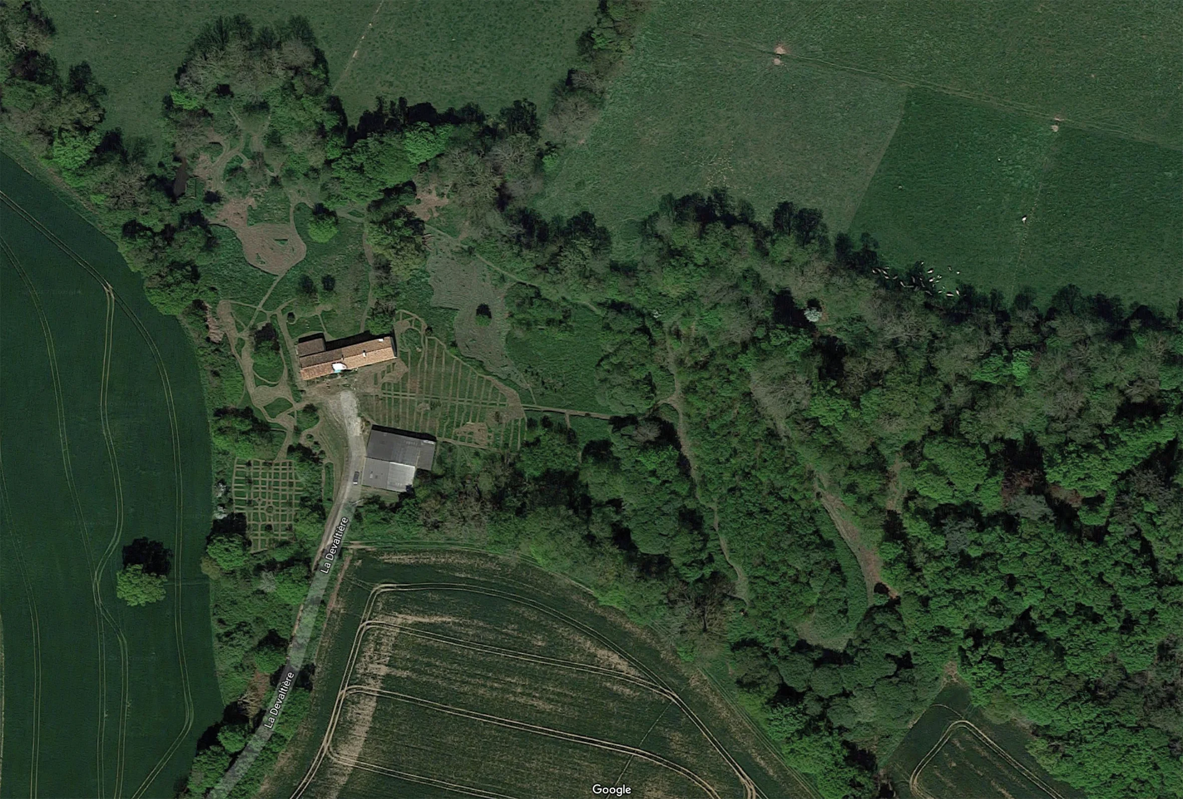 The farm in April 2017: the courtyard meadow stripes in the middle, tartan orchard to the left, the oak rooms of the new woods are to the right but barely visible