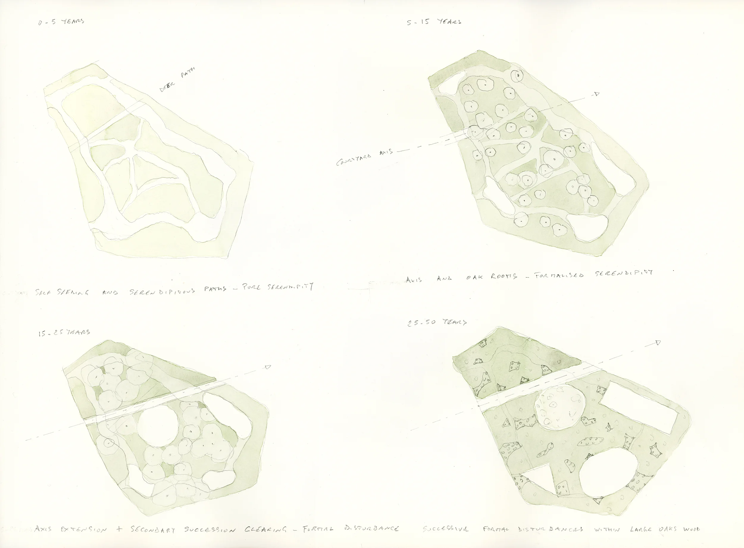 The successional plans of the Oak Rooms wood: top left are the first five years of improvised paths; top right is the current situation of Oak Rooms; bottom left, the next planned stage of a first circular clearing and cut axis; to its right is the envisioned next stage of added clearings which are then left to regenerate and disappear until another is created. 