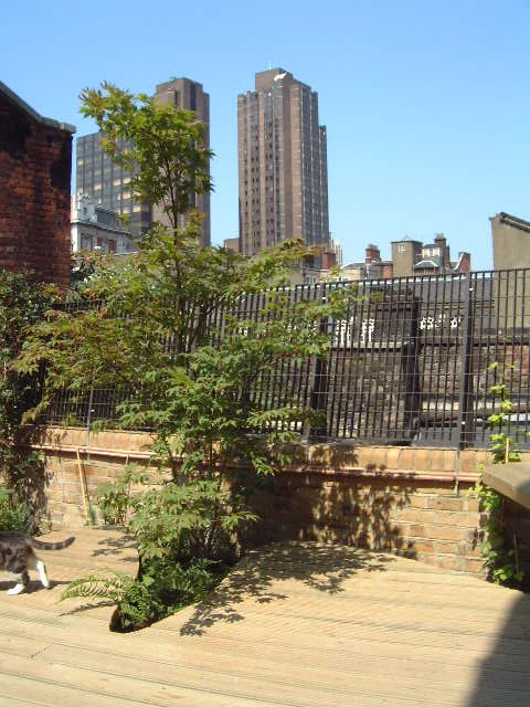 Complete-030626 041.jpg