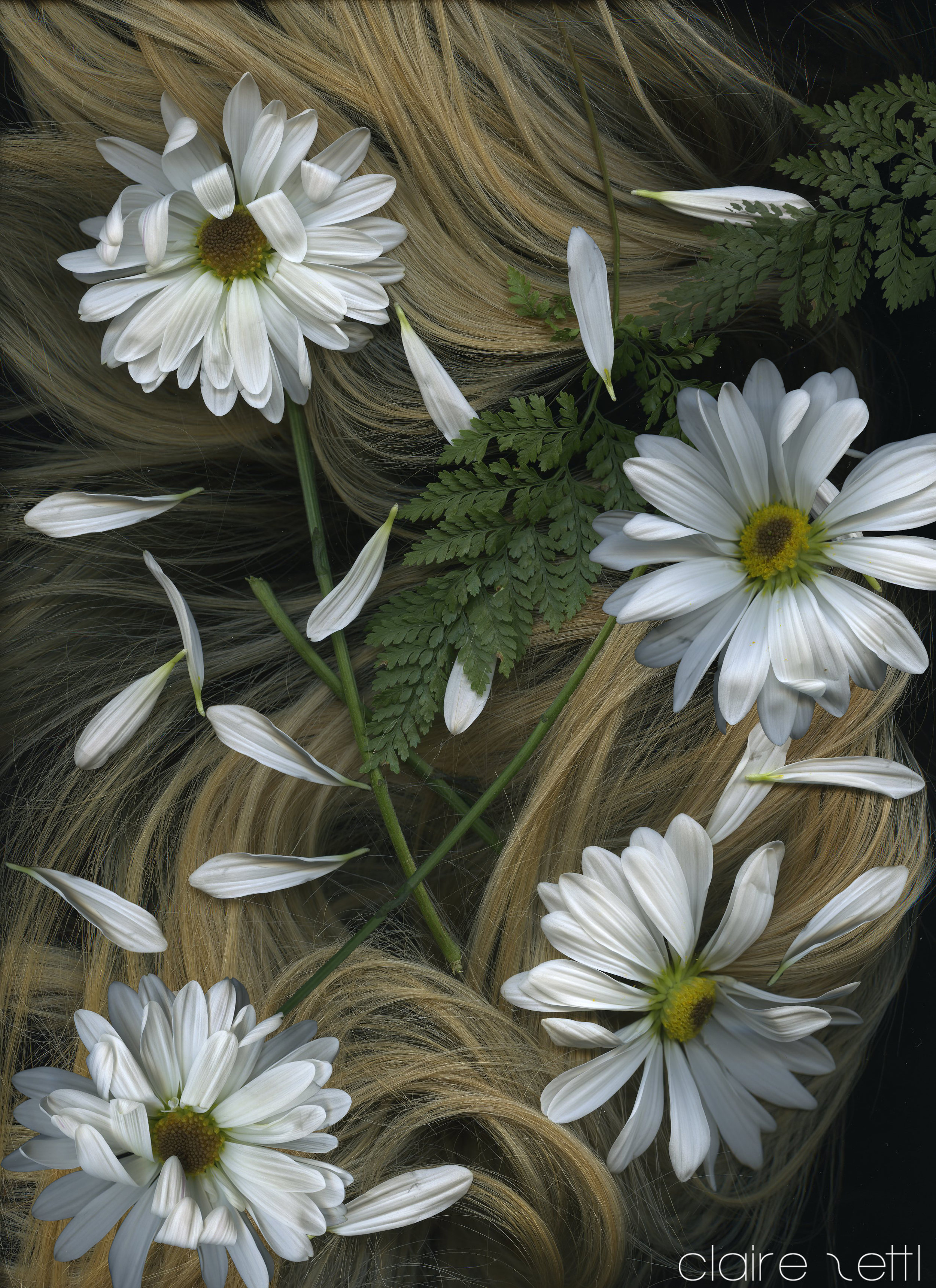 Scanography art 107.jpg