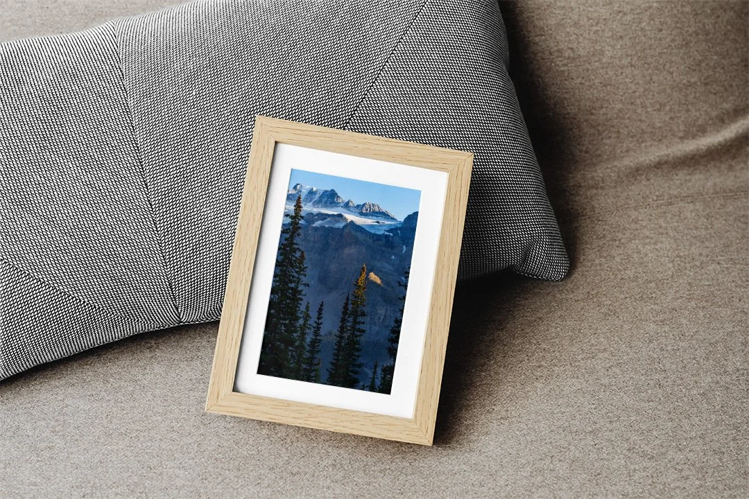 Tree Top Sunny Spotlight Portrait Digital Download - 8x10