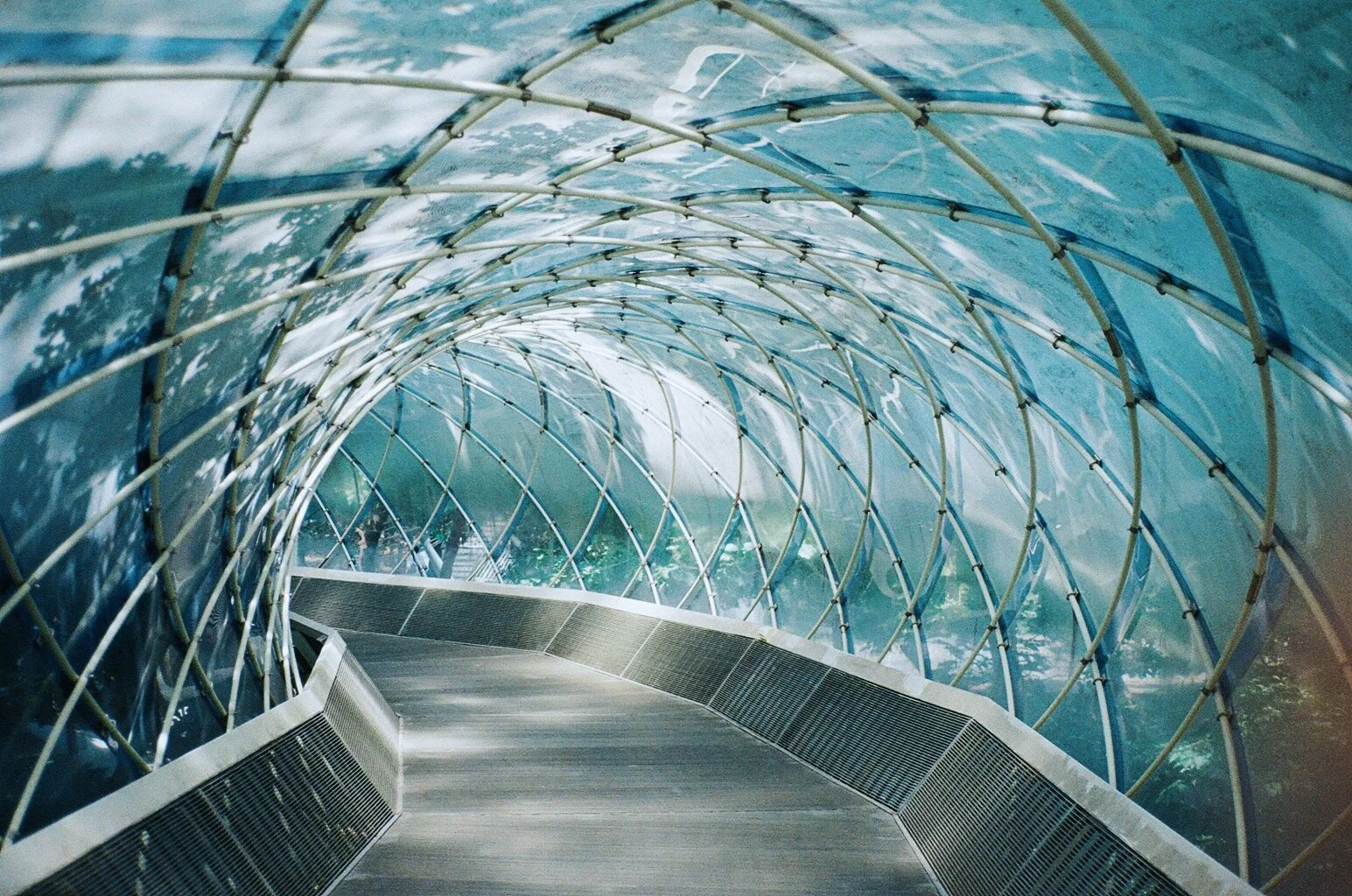 Contax T2, Kodak Gold 200